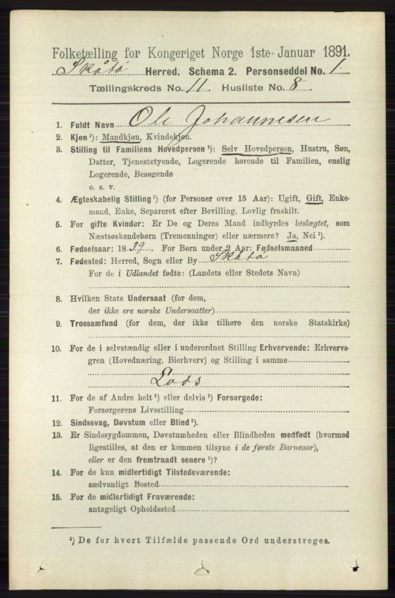 RA, 1891 census for 0815 Skåtøy, 1891, p. 4266