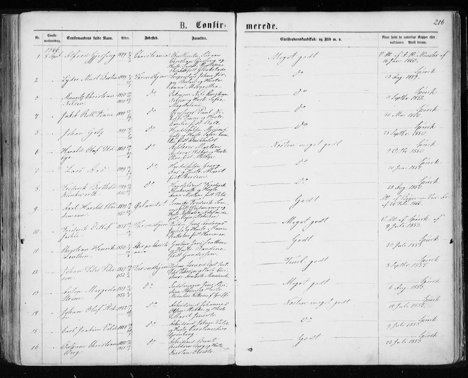 Ministerialprotokoller, klokkerbøker og fødselsregistre - Sør-Trøndelag, SAT/A-1456/601/L0054: Parish register (official) no. 601A22, 1866-1877, p. 206