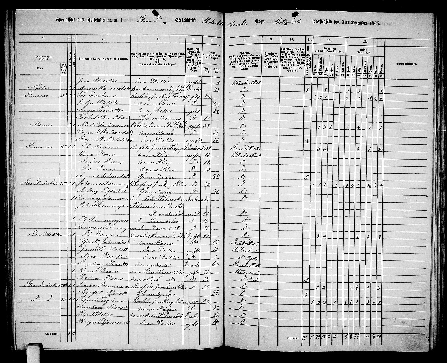 RA, 1865 census for Heddal, 1865, p. 88