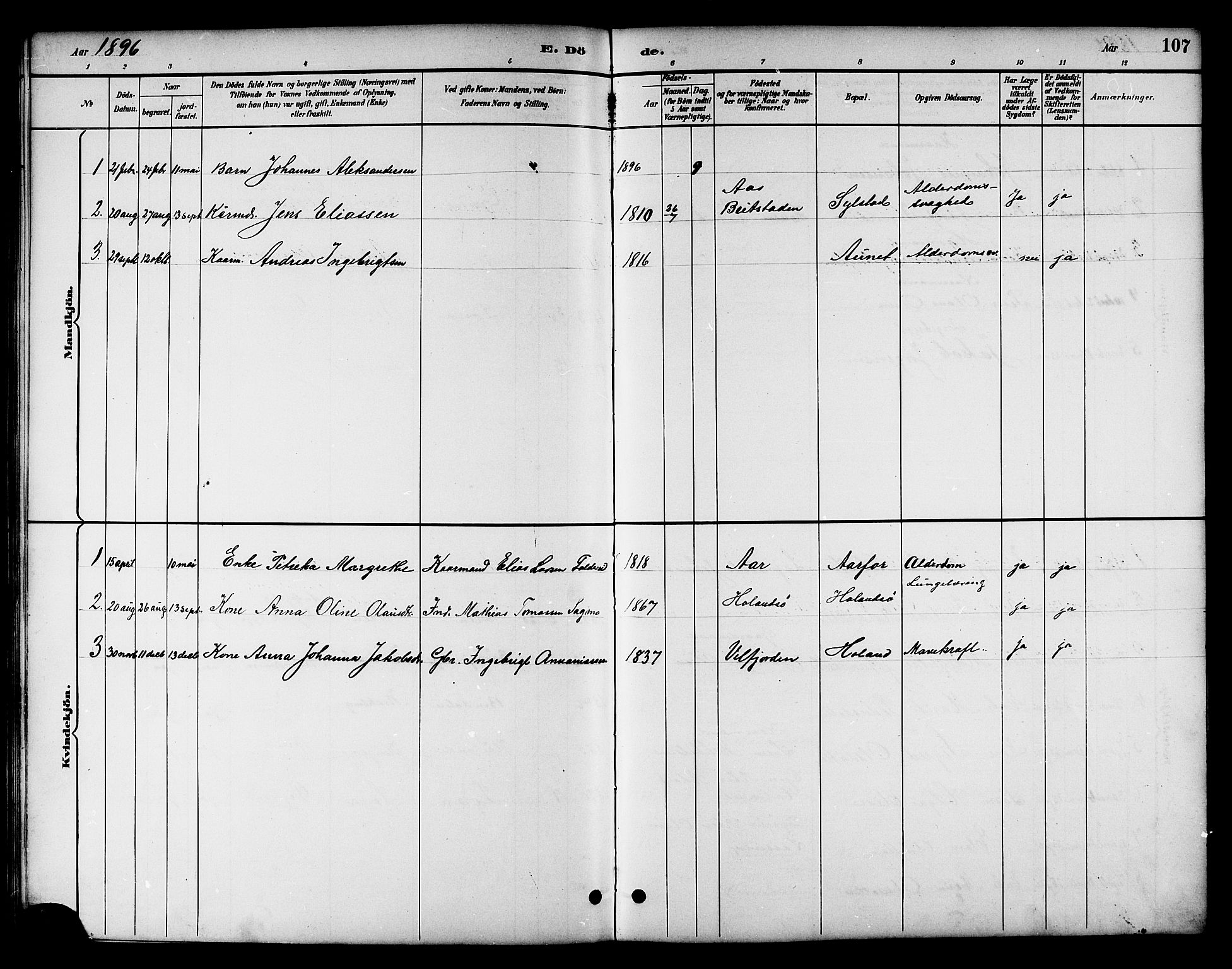 Ministerialprotokoller, klokkerbøker og fødselsregistre - Nord-Trøndelag, SAT/A-1458/783/L0662: Parish register (copy) no. 783C02, 1894-1919, p. 107