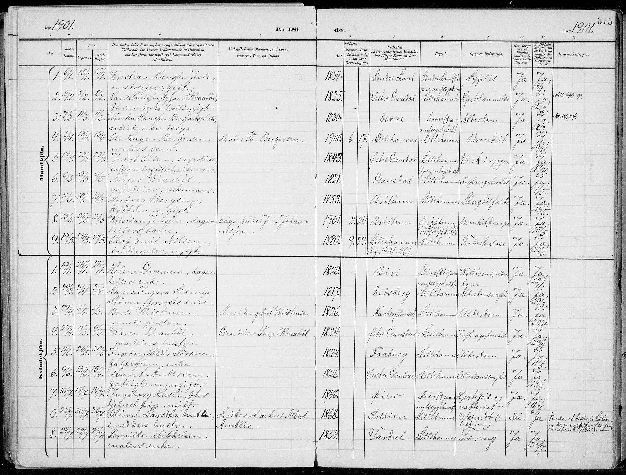 Lillehammer prestekontor, SAH/PREST-088/H/Ha/Haa/L0001: Parish register (official) no. 1, 1901-1916, p. 315