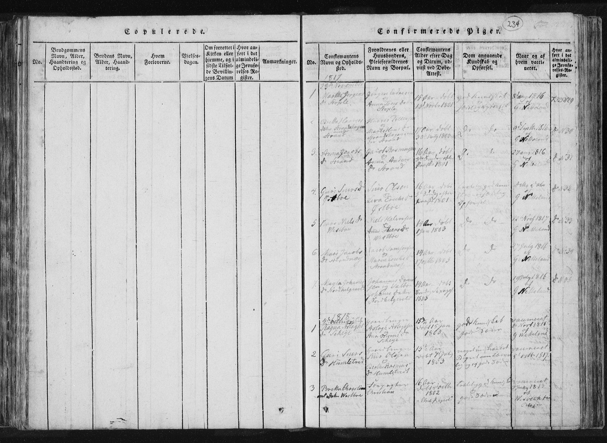 Vikedal sokneprestkontor, SAST/A-101840/01/IV: Parish register (official) no. A 4, 1816-1850, p. 234