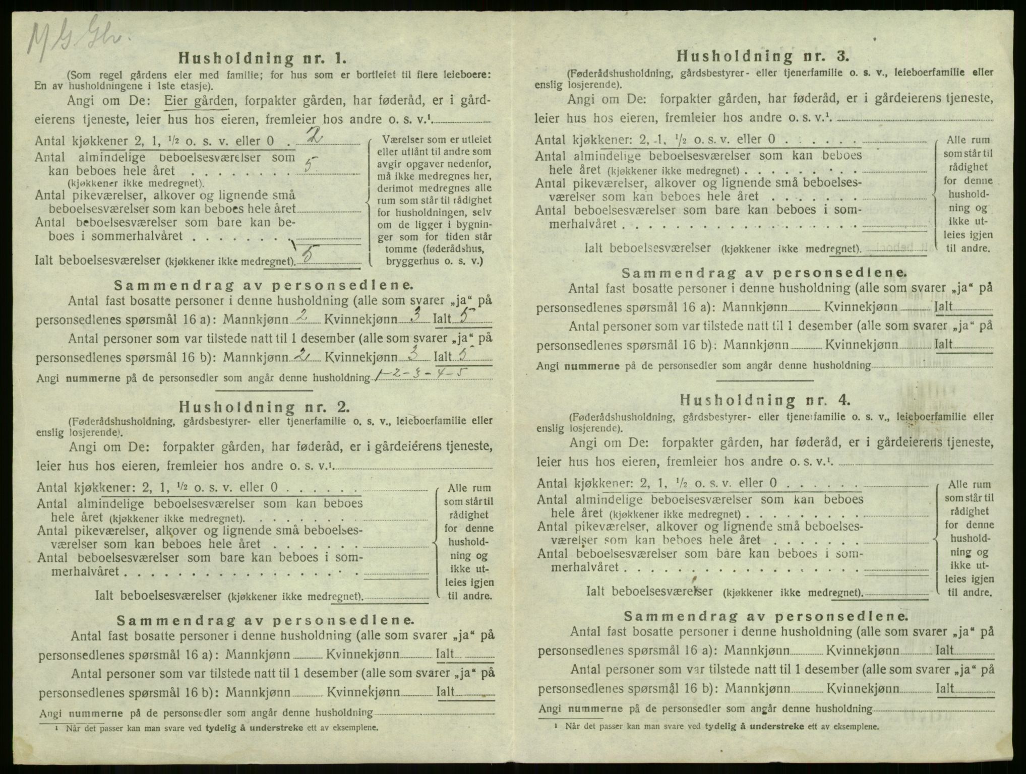 SAKO, 1920 census for Våle, 1920, p. 858