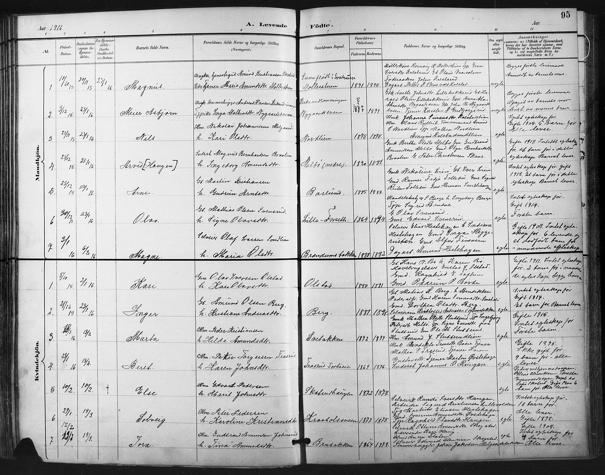 Vestre Gausdal prestekontor, AV/SAH-PREST-094/H/Ha/Hab/L0003: Parish register (copy) no. 3, 1896-1925, p. 95