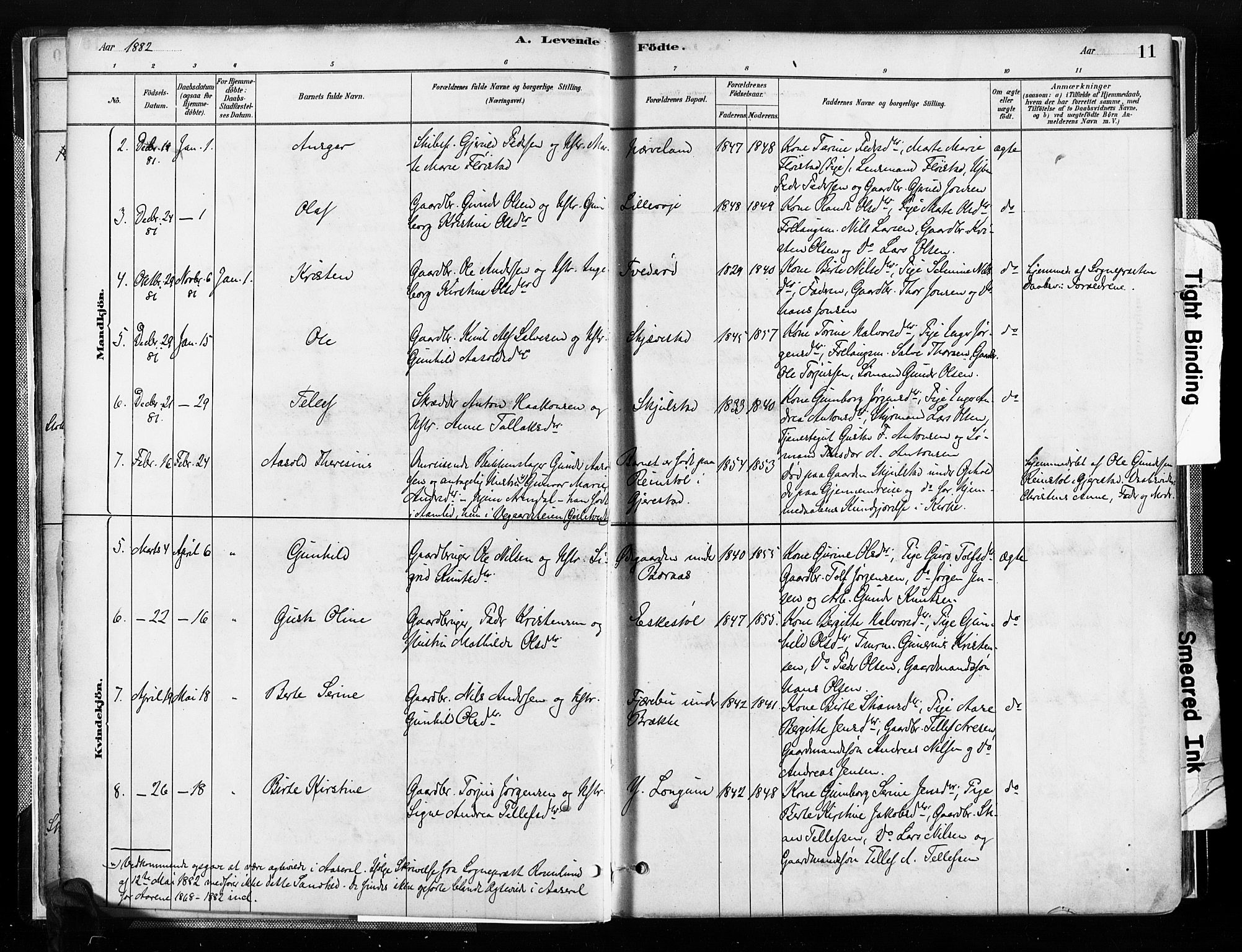 Austre Moland sokneprestkontor, SAK/1111-0001/F/Fa/Faa/L0010: Parish register (official) no. A 10, 1880-1904, p. 11