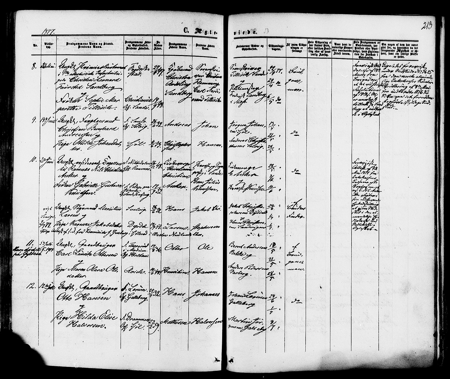 Sande Kirkebøker, SAKO/A-53/F/Fa/L0005: Parish register (official) no. 5, 1865-1877, p. 213