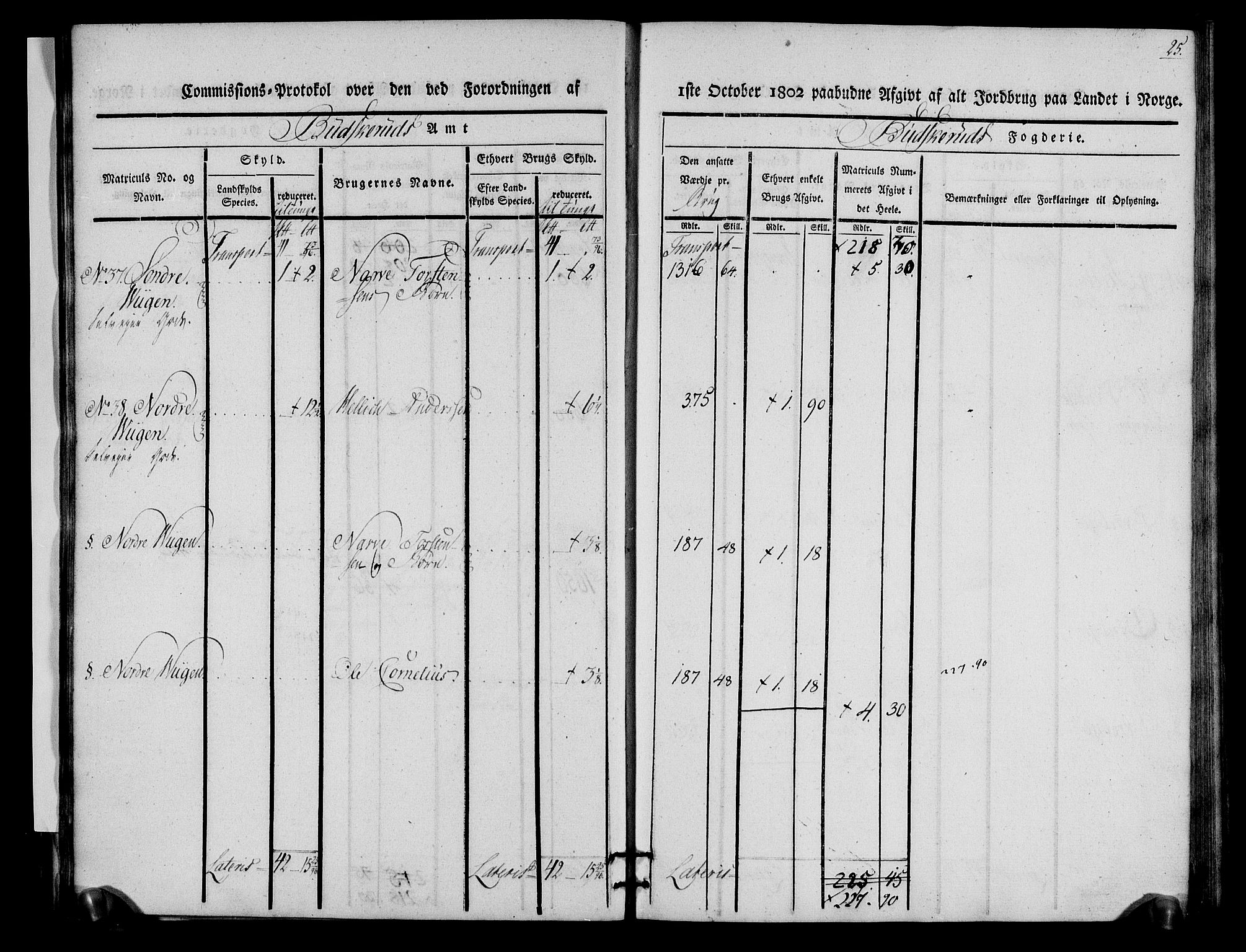 Rentekammeret inntil 1814, Realistisk ordnet avdeling, AV/RA-EA-4070/N/Ne/Nea/L0060: Buskerud fogderi. Kommisjonsprotokoll for Sigdal prestegjeld, 1803, p. 25