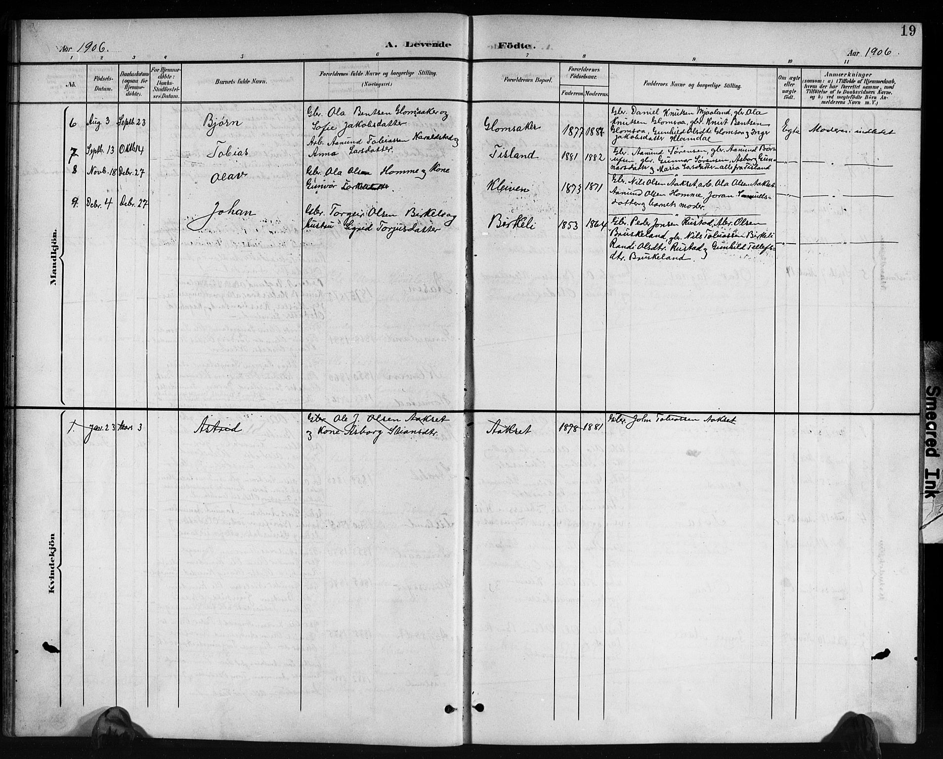 Holum sokneprestkontor, SAK/1111-0022/F/Fb/Fbb/L0004: Parish register (copy) no. B 4, 1899-1920, p. 19