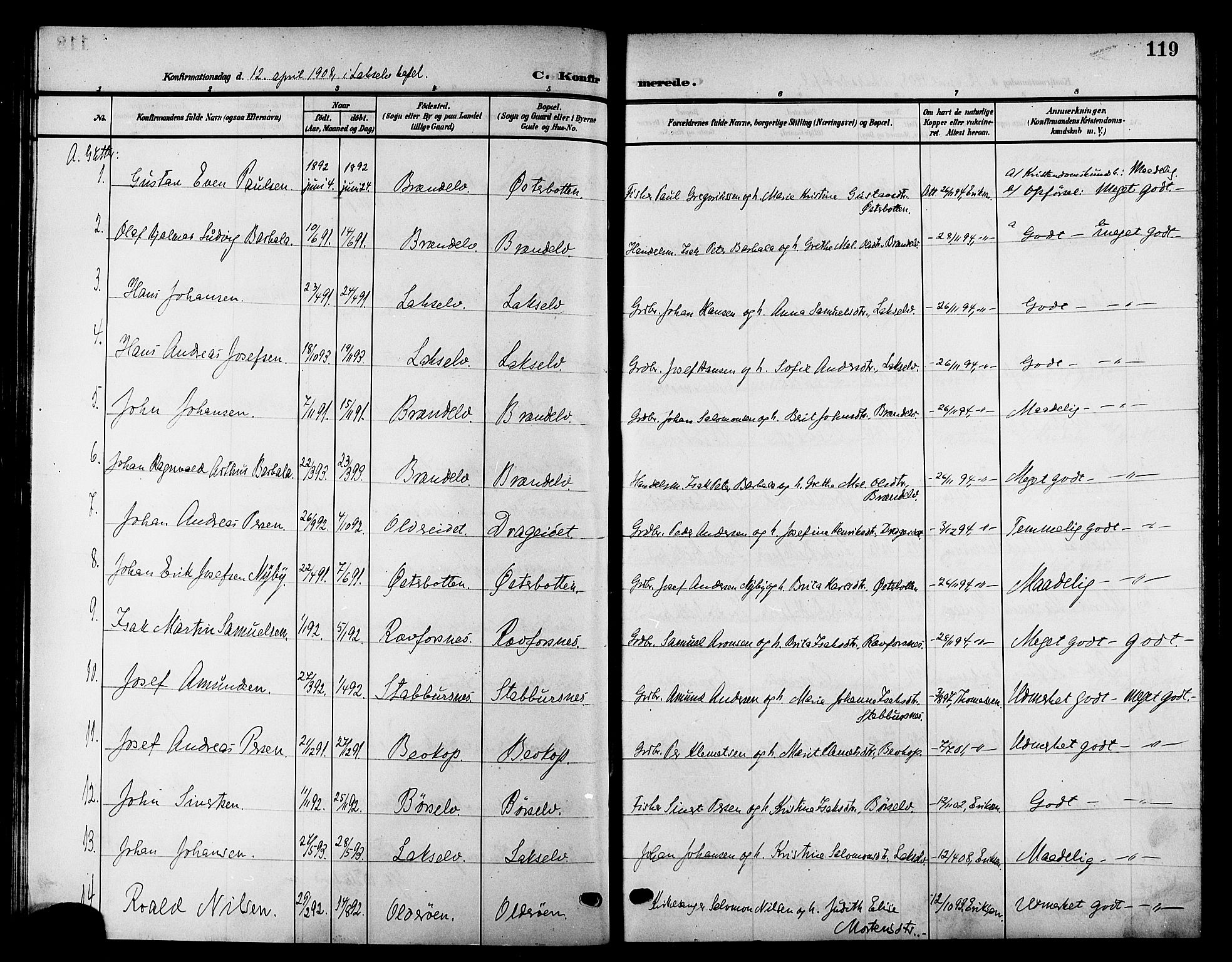 Kistrand/Porsanger sokneprestembete, SATØ/S-1351/H/Hb/L0006.klokk: Parish register (copy) no. 6, 1905-1917, p. 119
