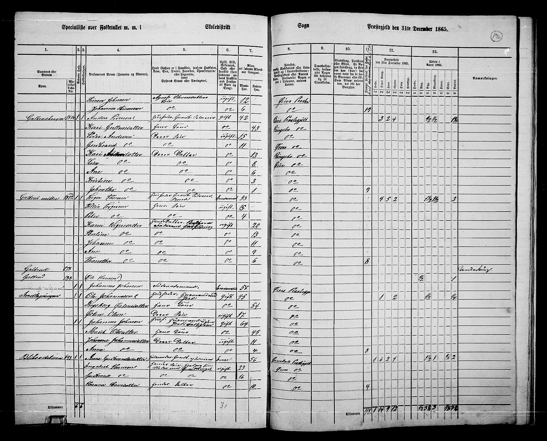 RA, 1865 census for Øyer, 1865, p. 161