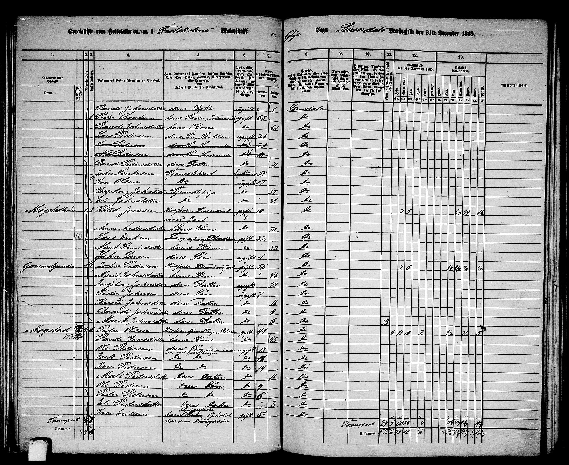 RA, 1865 census for Surnadal, 1865, p. 111