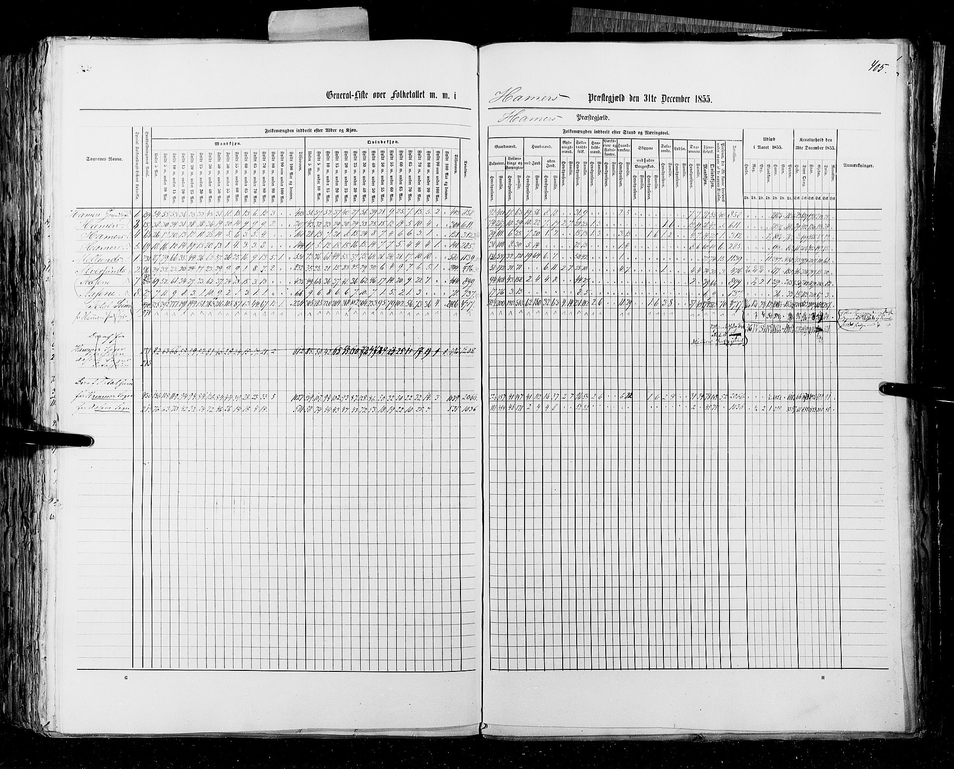 RA, Census 1855, vol. 4: Stavanger amt og Søndre Bergenhus amt, 1855, p. 405