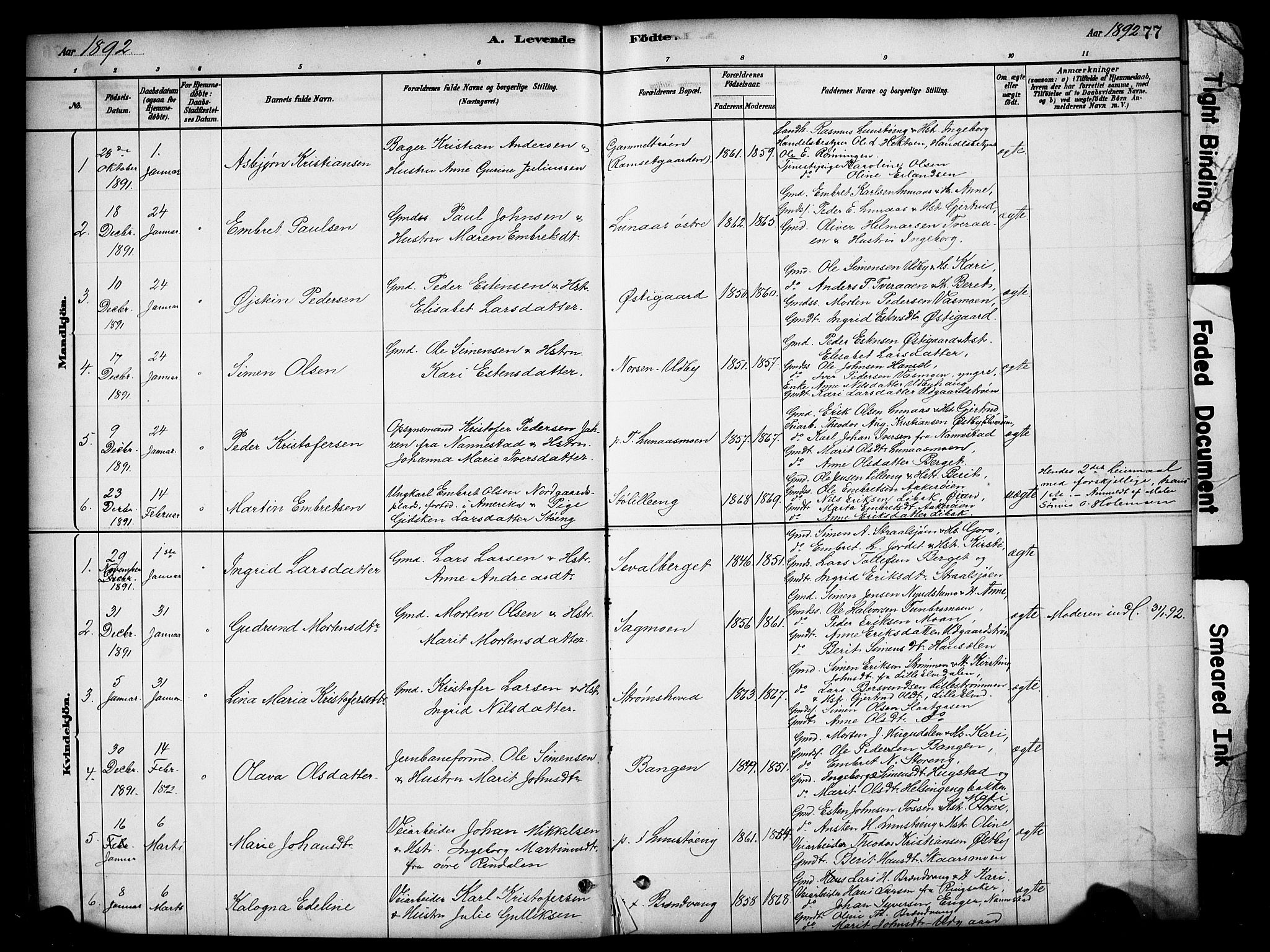Tynset prestekontor, SAH/PREST-058/H/Ha/Hab/L0006: Parish register (copy) no. 6, 1880-1899, p. 77