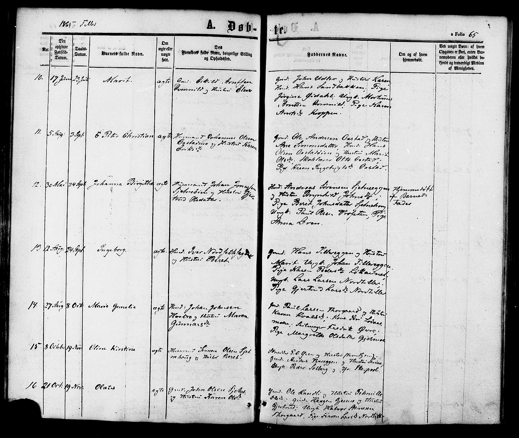 Ministerialprotokoller, klokkerbøker og fødselsregistre - Sør-Trøndelag, SAT/A-1456/618/L0443: Parish register (official) no. 618A06 /2, 1863-1879, p. 65
