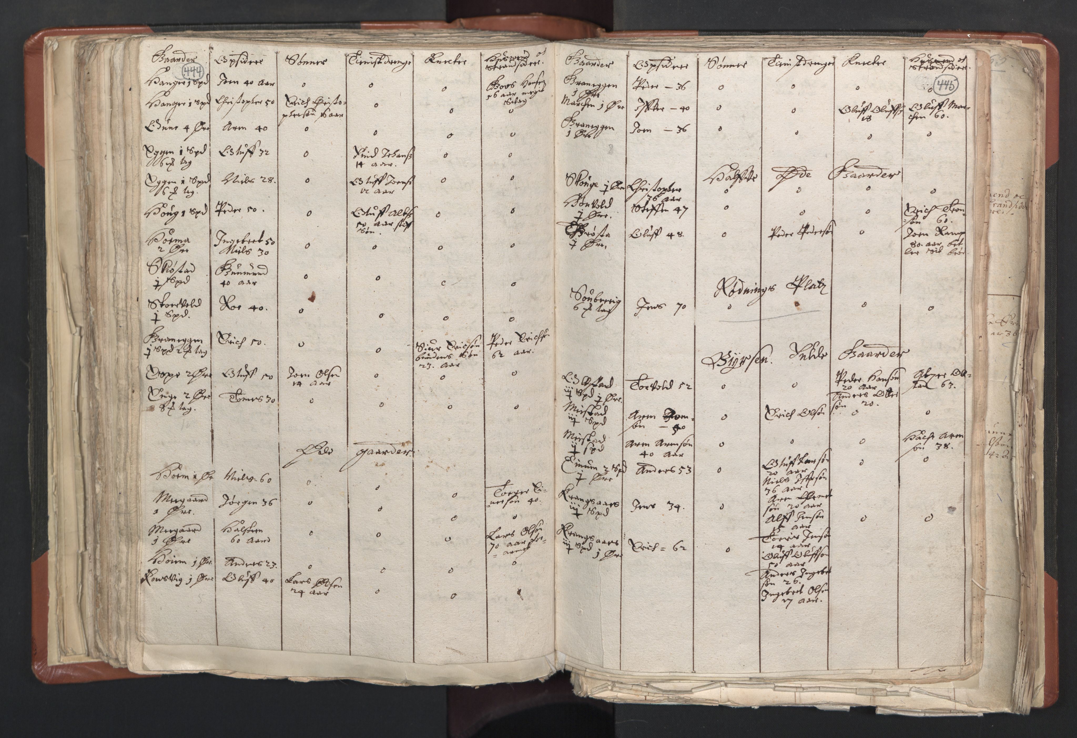 RA, Vicar's Census 1664-1666, no. 31: Dalane deanery, 1664-1666, p. 444-445