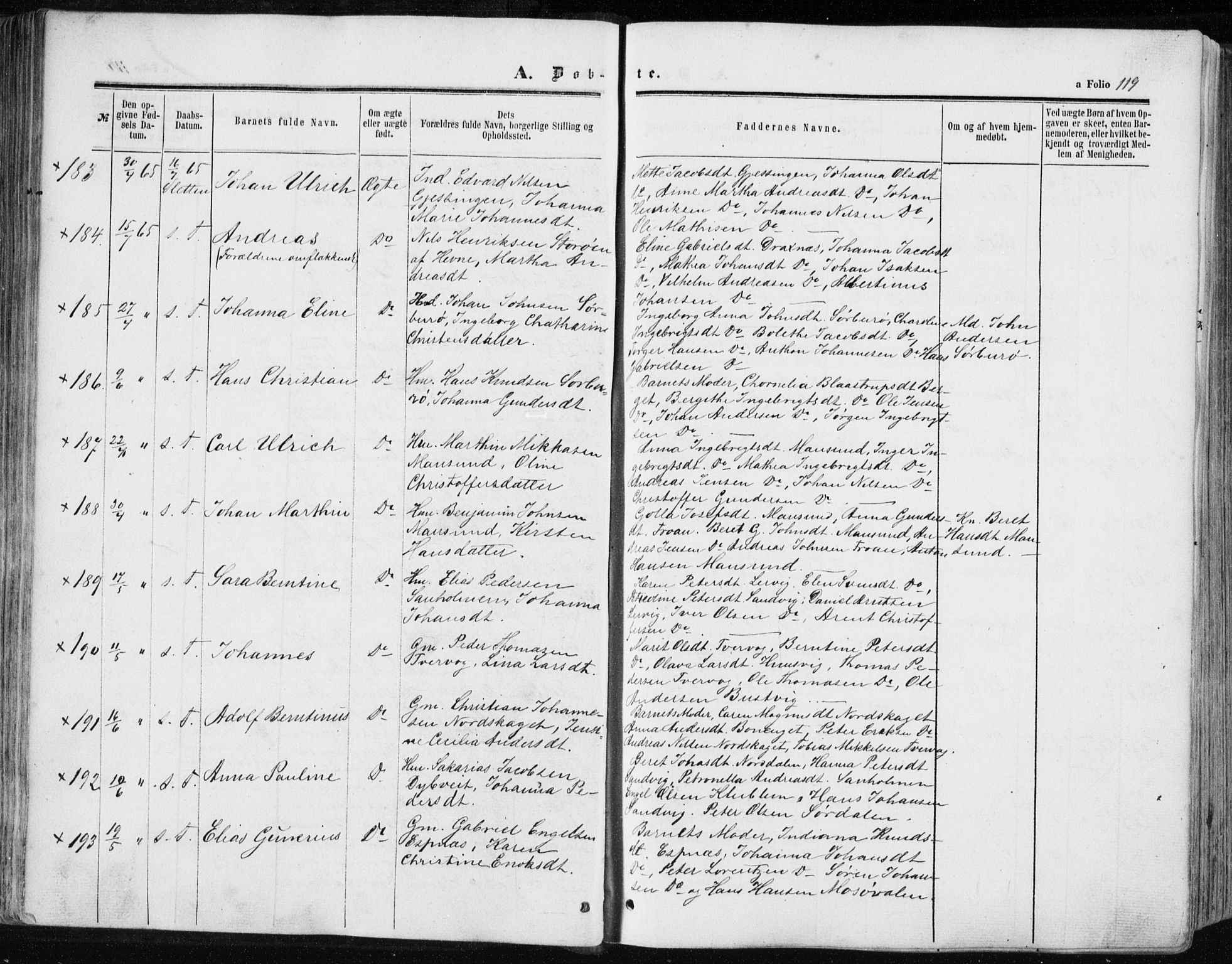 Ministerialprotokoller, klokkerbøker og fødselsregistre - Sør-Trøndelag, SAT/A-1456/634/L0531: Parish register (official) no. 634A07, 1861-1870, p. 119