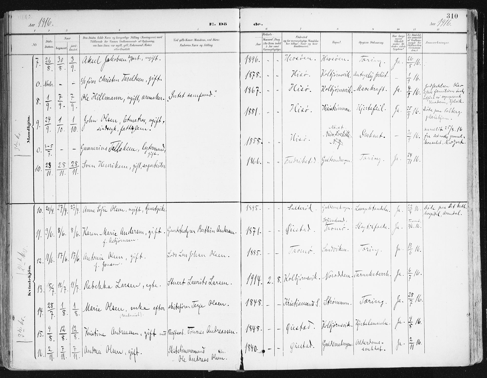 Hisøy sokneprestkontor, AV/SAK-1111-0020/F/Fa/L0004: Parish register (official) no. A 4, 1895-1917, p. 310