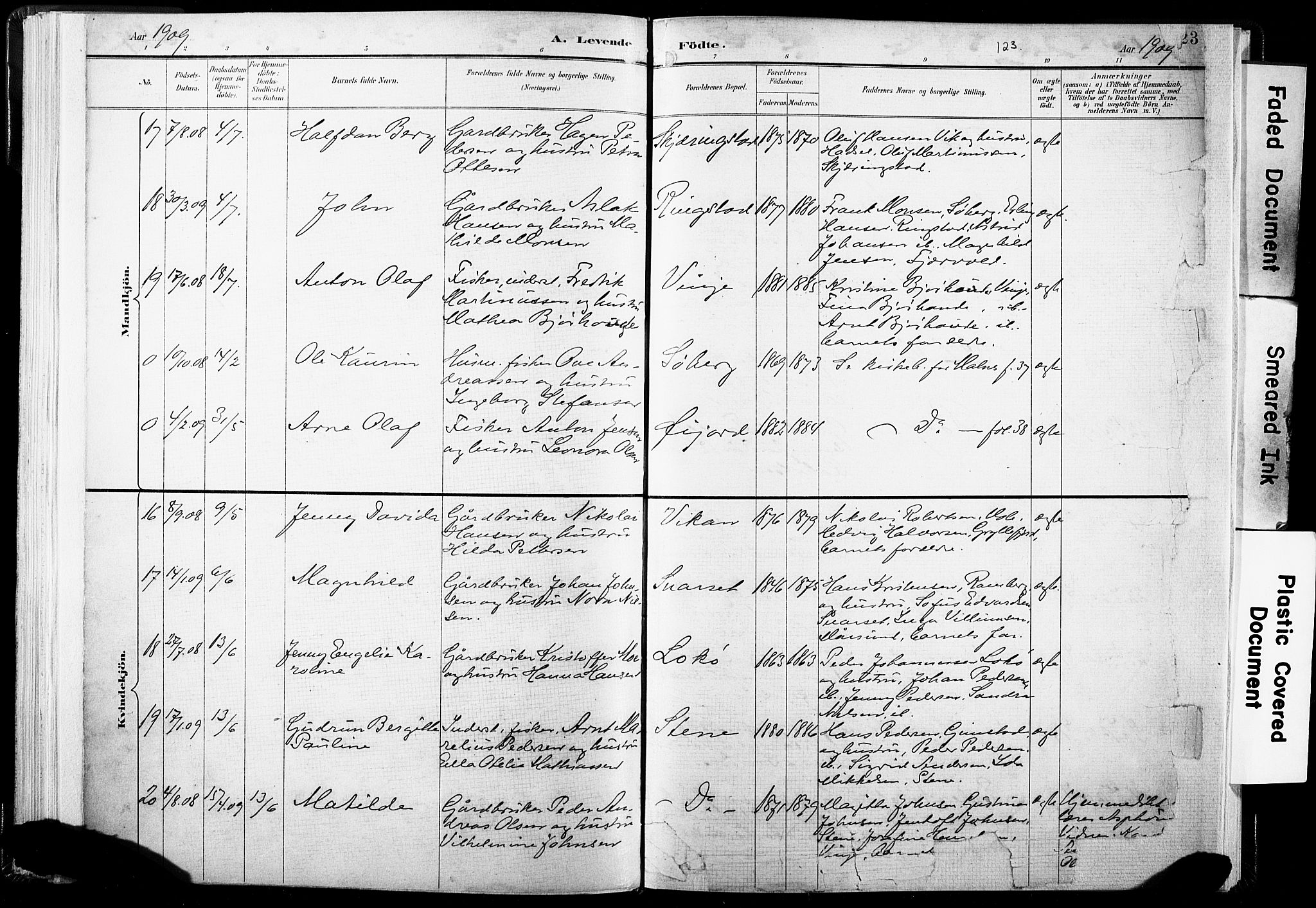 Ministerialprotokoller, klokkerbøker og fødselsregistre - Nordland, AV/SAT-A-1459/891/L1304: Parish register (official) no. 891A09, 1895-1921, p. 123