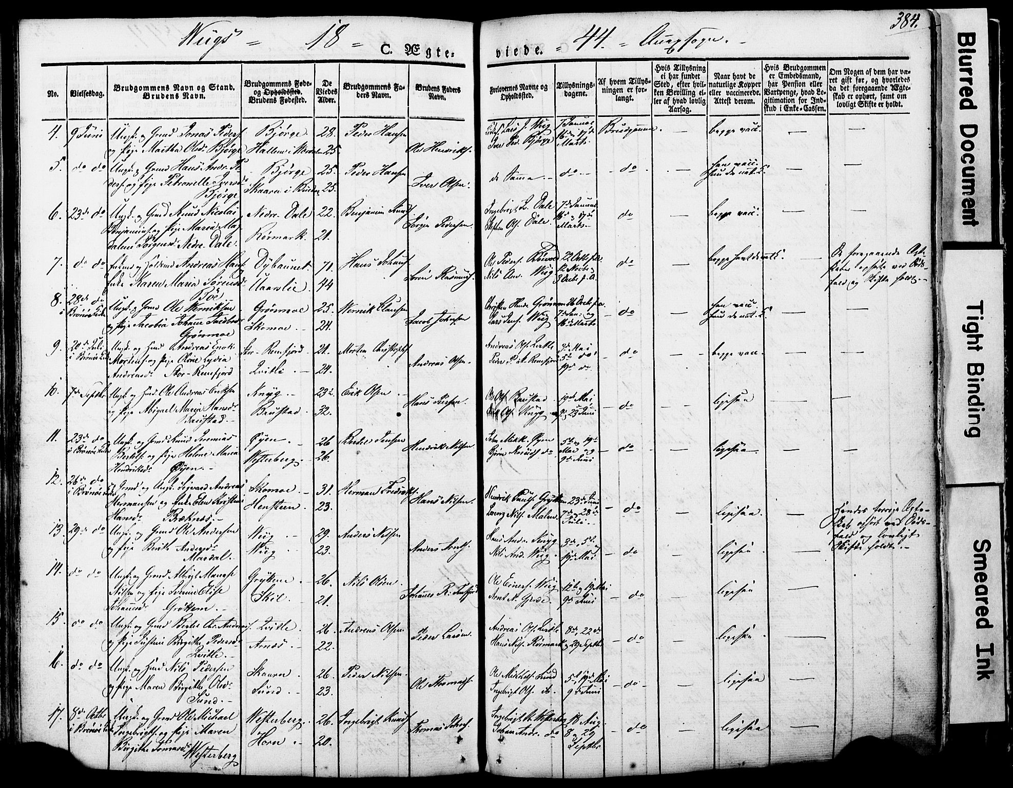 Ministerialprotokoller, klokkerbøker og fødselsregistre - Nordland, AV/SAT-A-1459/812/L0176: Parish register (official) no. 812A05, 1834-1874, p. 384