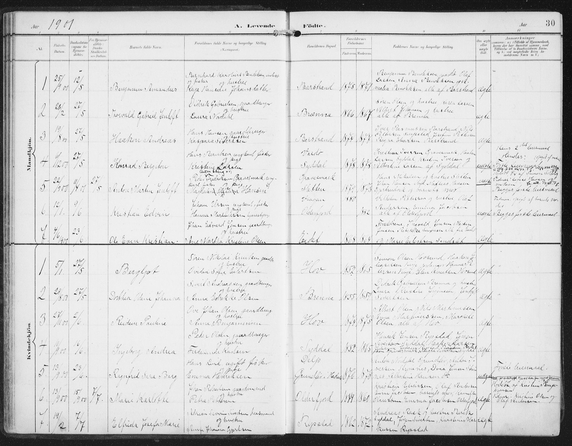 Ministerialprotokoller, klokkerbøker og fødselsregistre - Nordland, SAT/A-1459/876/L1098: Parish register (official) no. 876A04, 1896-1915, p. 30