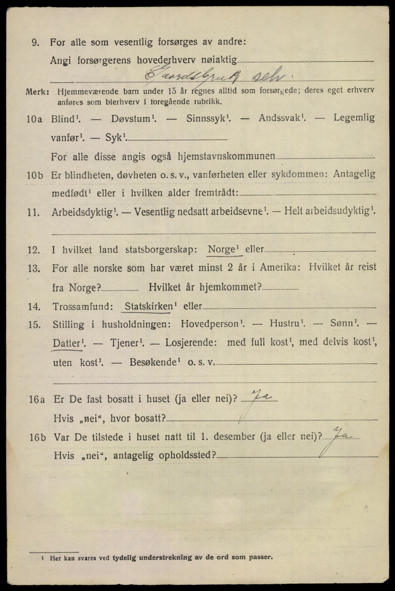 SAKO, 1920 census for Rollag, 1920, p. 1313