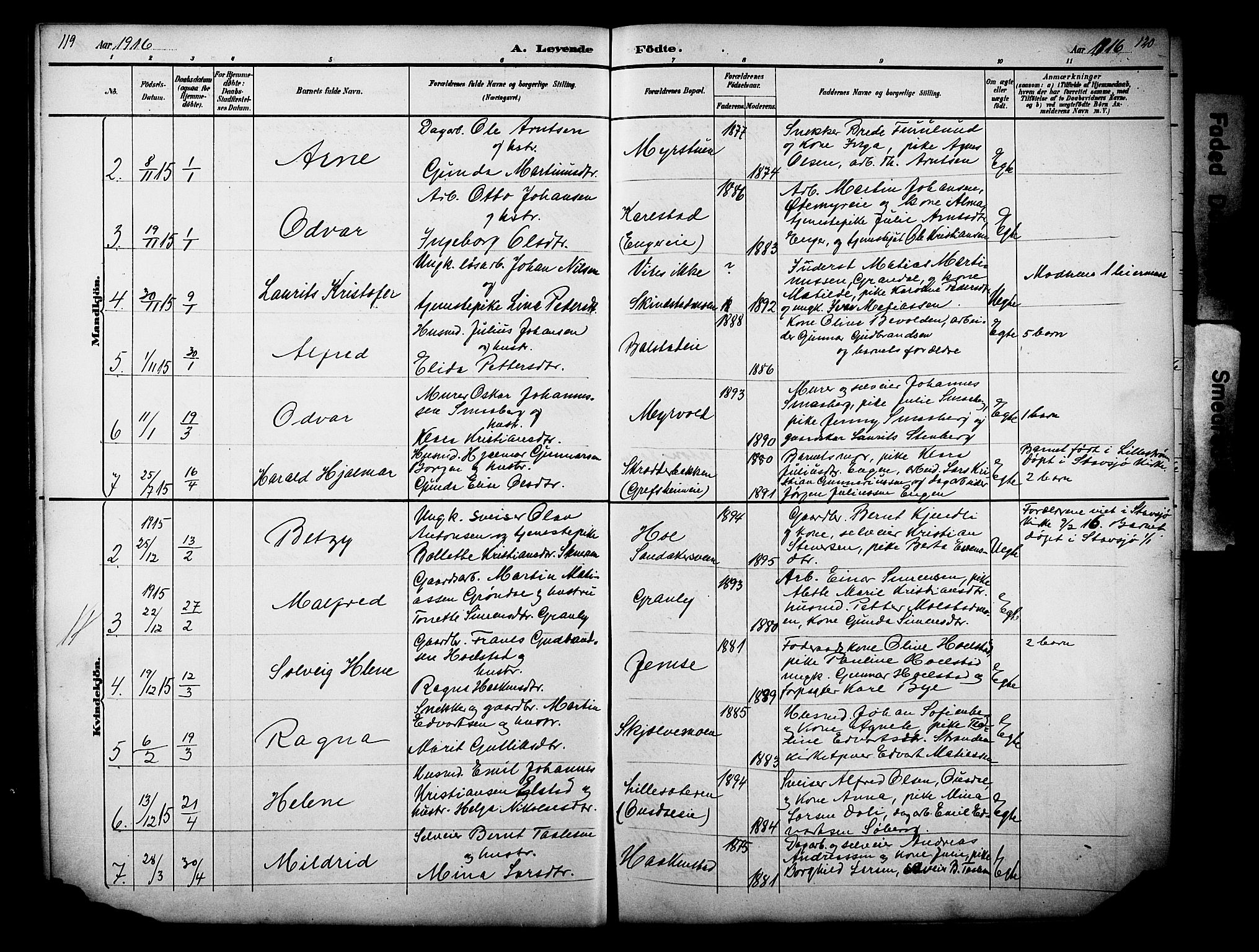 Nes prestekontor, Hedmark, AV/SAH-PREST-020/L/La/L0006: Parish register (copy) no. 6, 1890-1932, p. 119-120