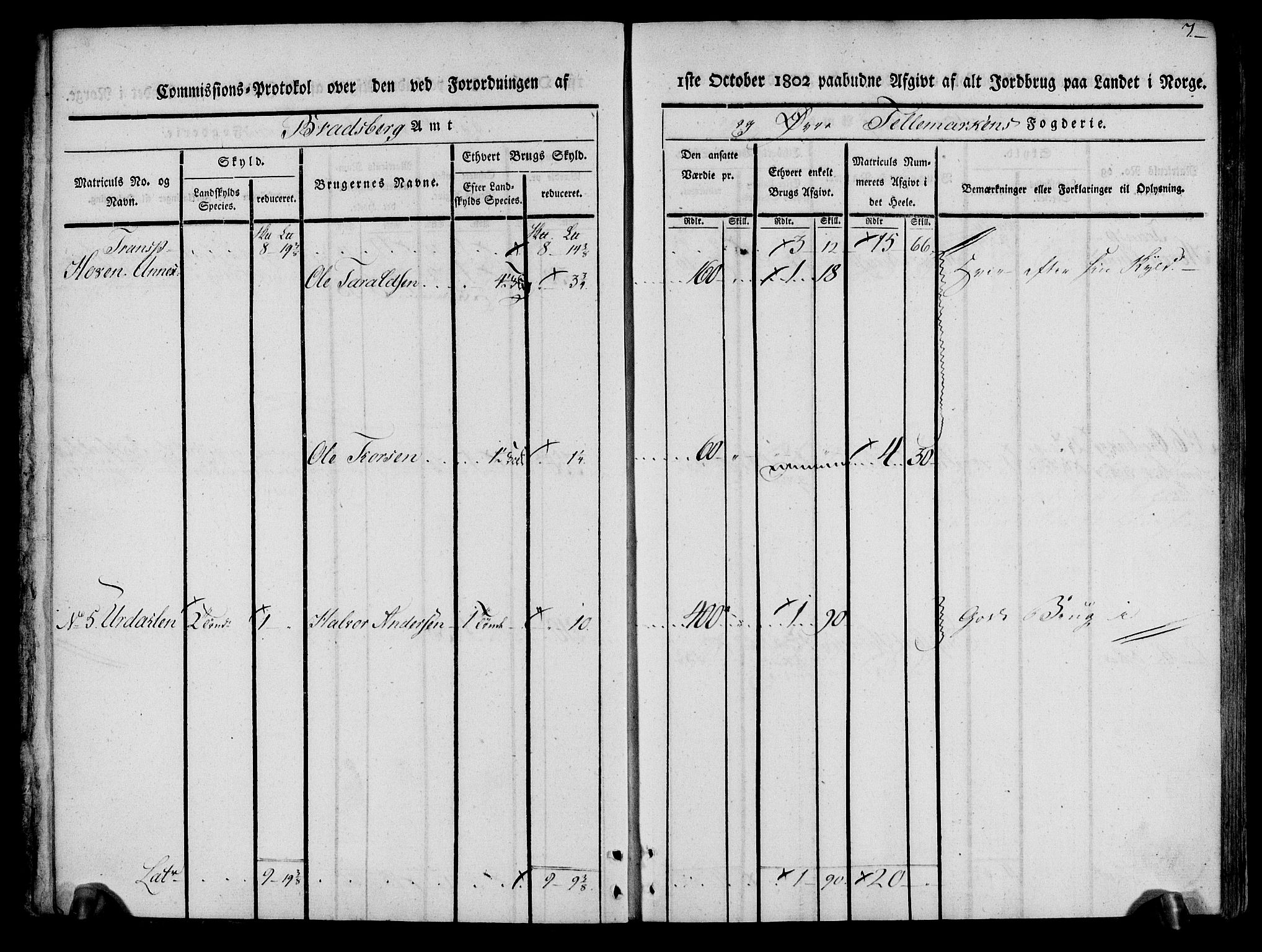 Rentekammeret inntil 1814, Realistisk ordnet avdeling, AV/RA-EA-4070/N/Ne/Nea/L0074: Øvre Telemarken fogderi. Kommisjonsprotokoll for fogderiets østre del - Tinn, Hjartdal og Seljord prestegjeld., 1803, p. 7