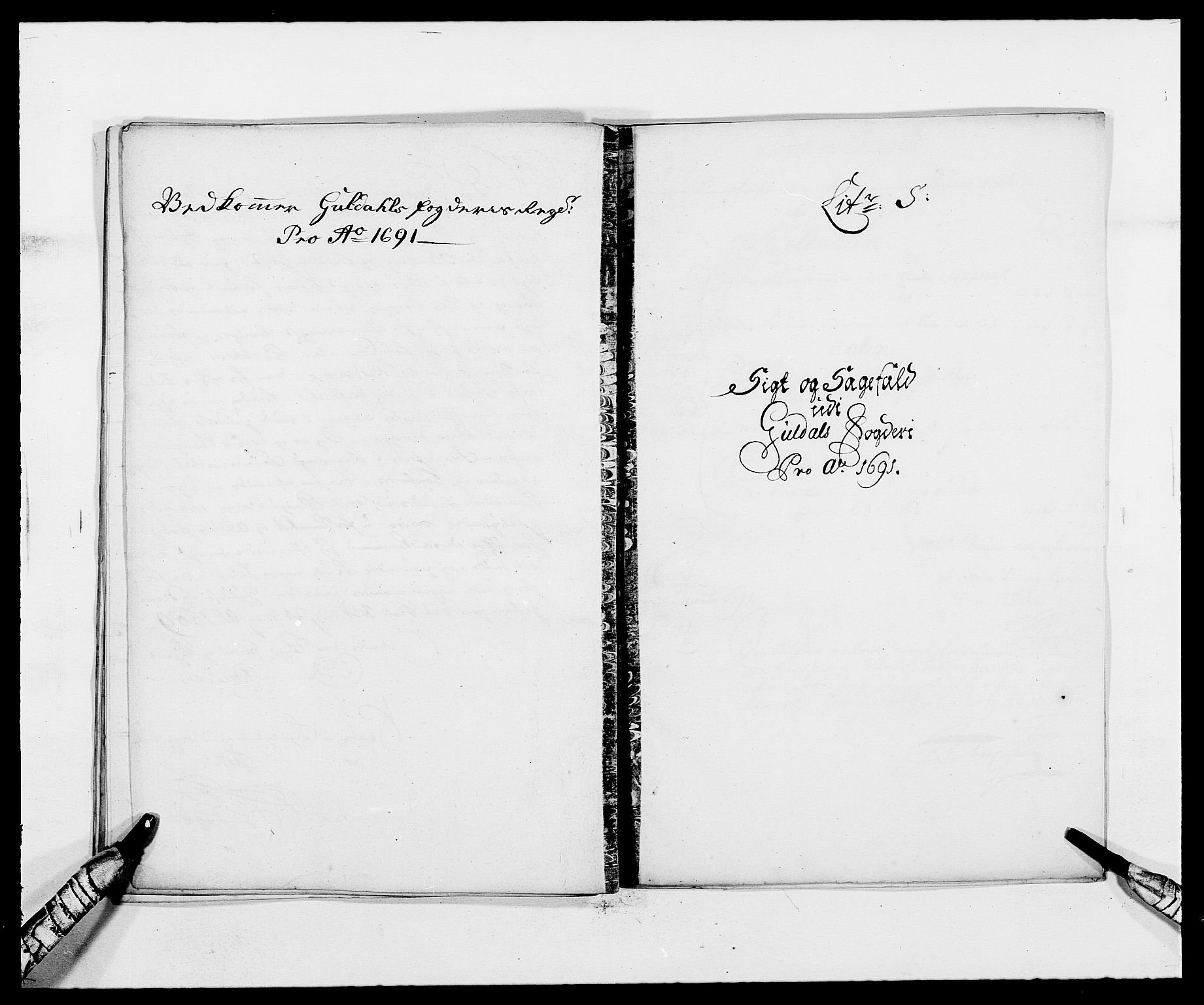 Rentekammeret inntil 1814, Reviderte regnskaper, Fogderegnskap, RA/EA-4092/R59/L3941: Fogderegnskap Gauldal, 1691, p. 155