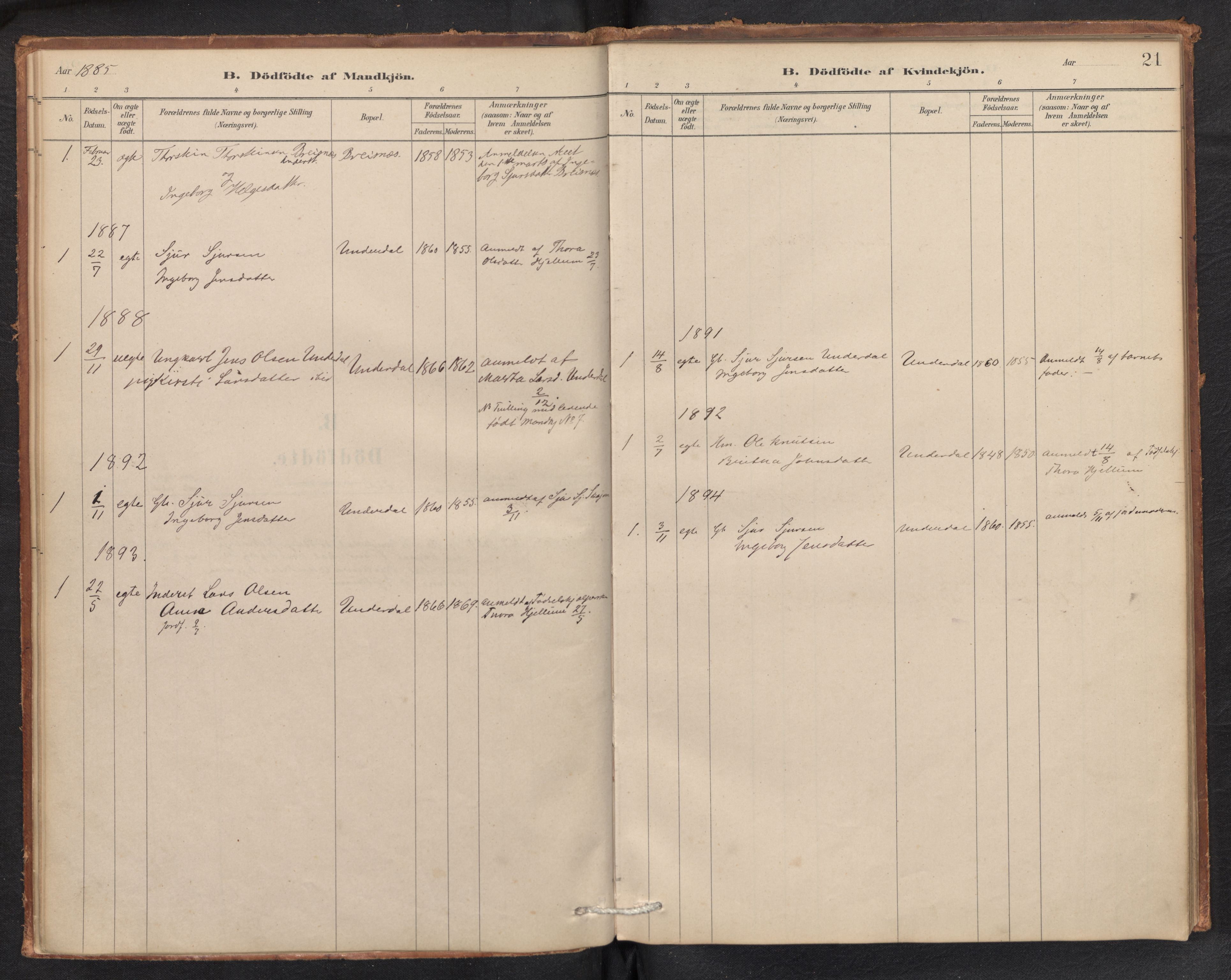 Aurland sokneprestembete, SAB/A-99937/H/Ha/Hae/L0001: Parish register (official) no. E 1, 1880-1907, p. 20b-21a
