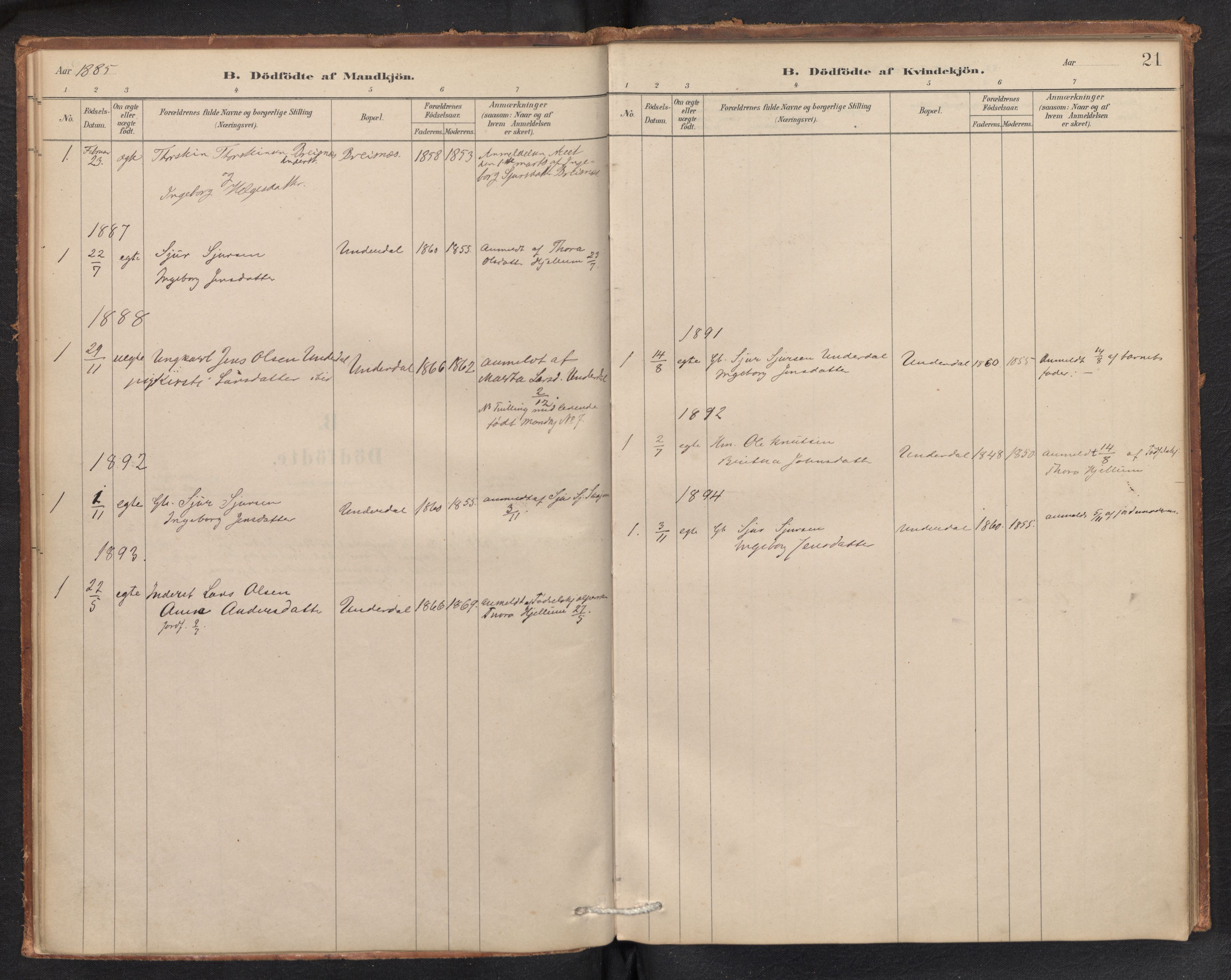 Aurland sokneprestembete, AV/SAB-A-99937/H/Ha/Hae/L0001: Parish register (official) no. E 1, 1880-1907, p. 20b-21a