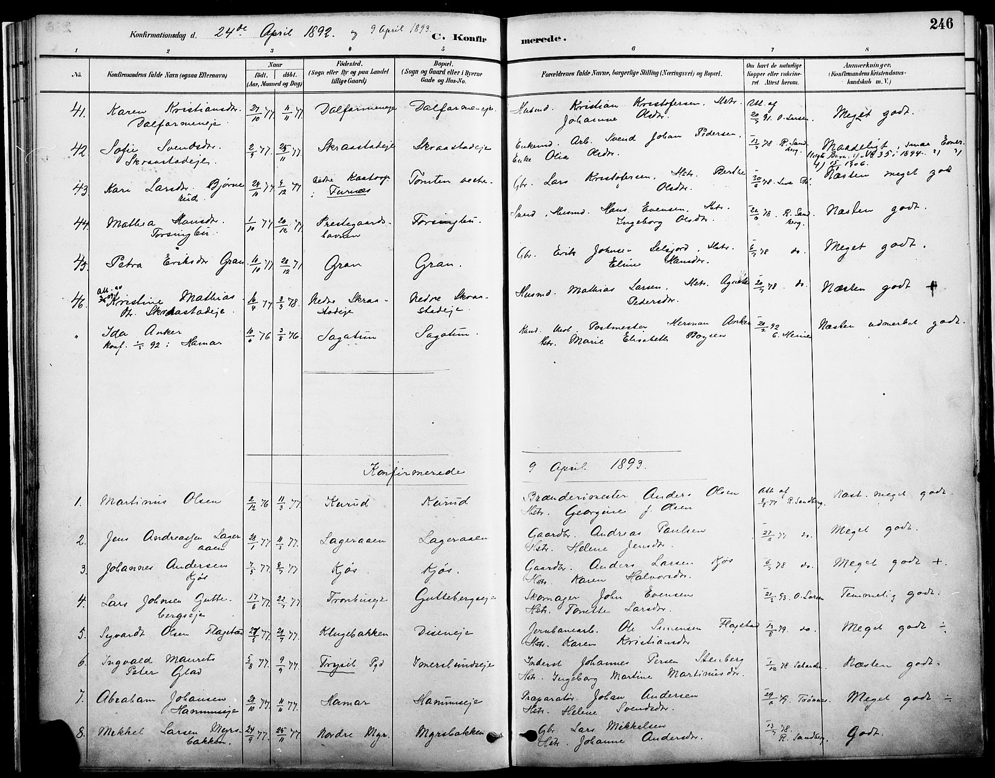 Vang prestekontor, Hedmark, SAH/PREST-008/H/Ha/Haa/L0019A: Parish register (official) no. 19, 1886-1900, p. 246