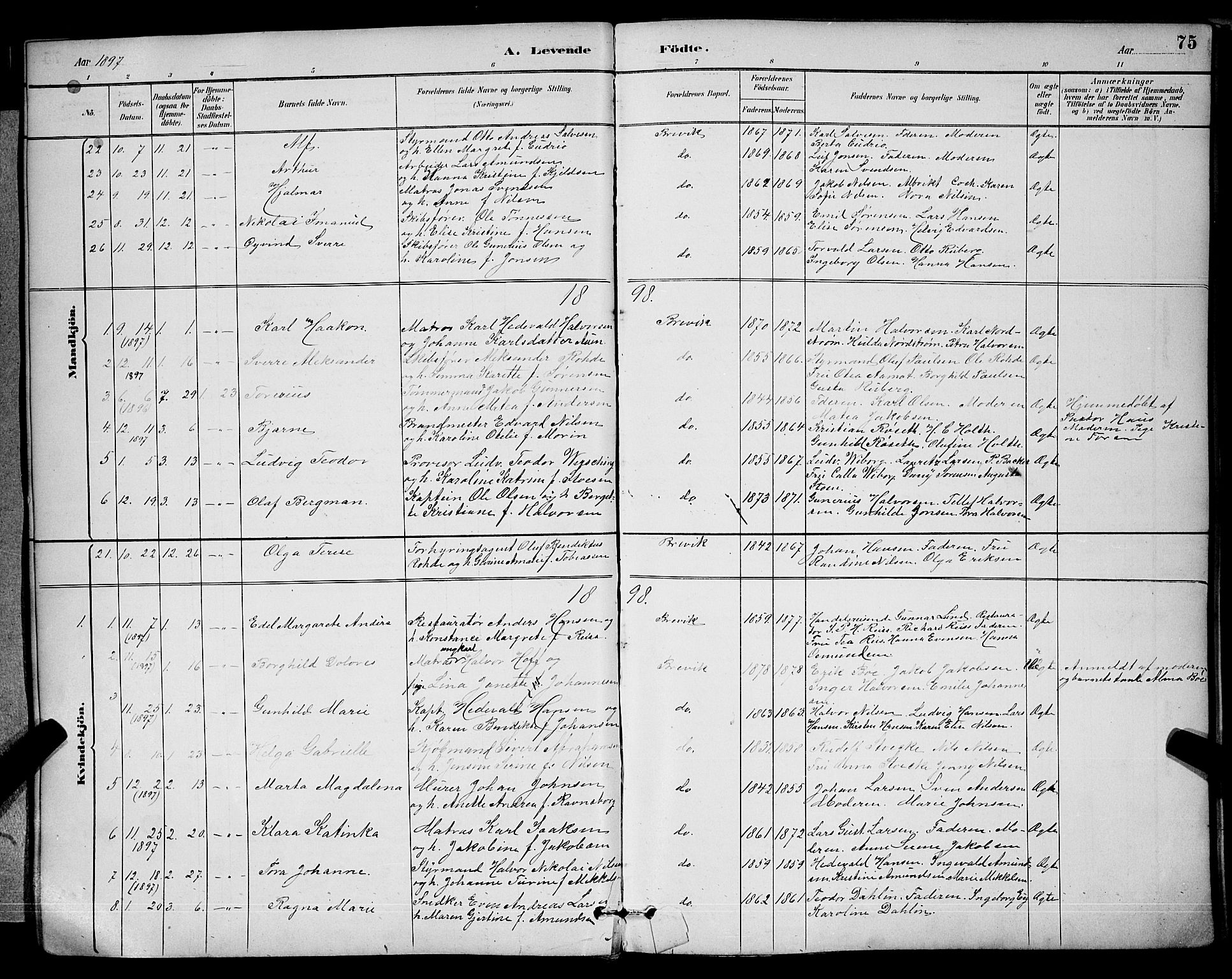 Brevik kirkebøker, AV/SAKO-A-255/G/Ga/L0004: Parish register (copy) no. 4, 1882-1900, p. 75