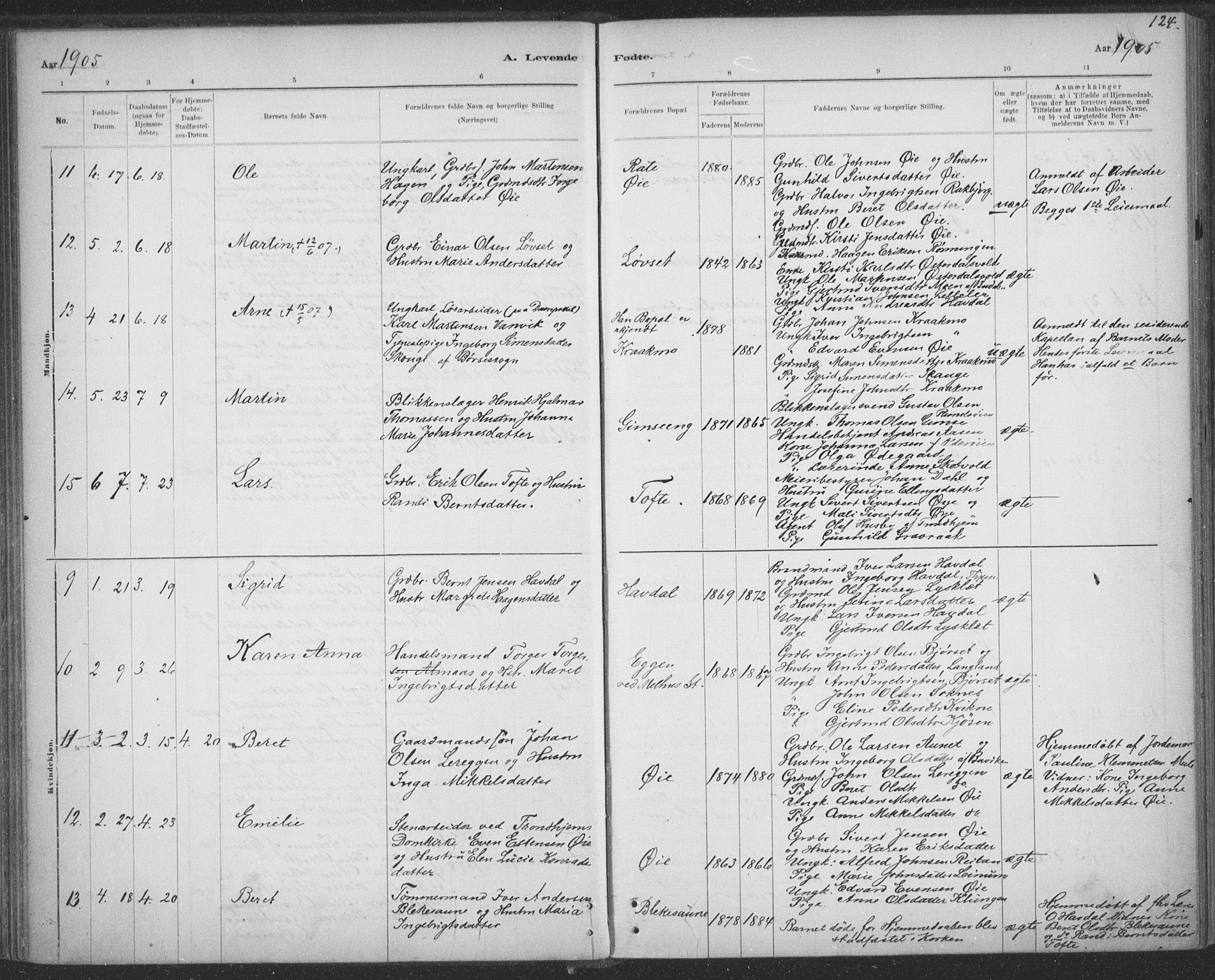Ministerialprotokoller, klokkerbøker og fødselsregistre - Sør-Trøndelag, SAT/A-1456/691/L1085: Parish register (official) no. 691A17, 1887-1908, p. 124