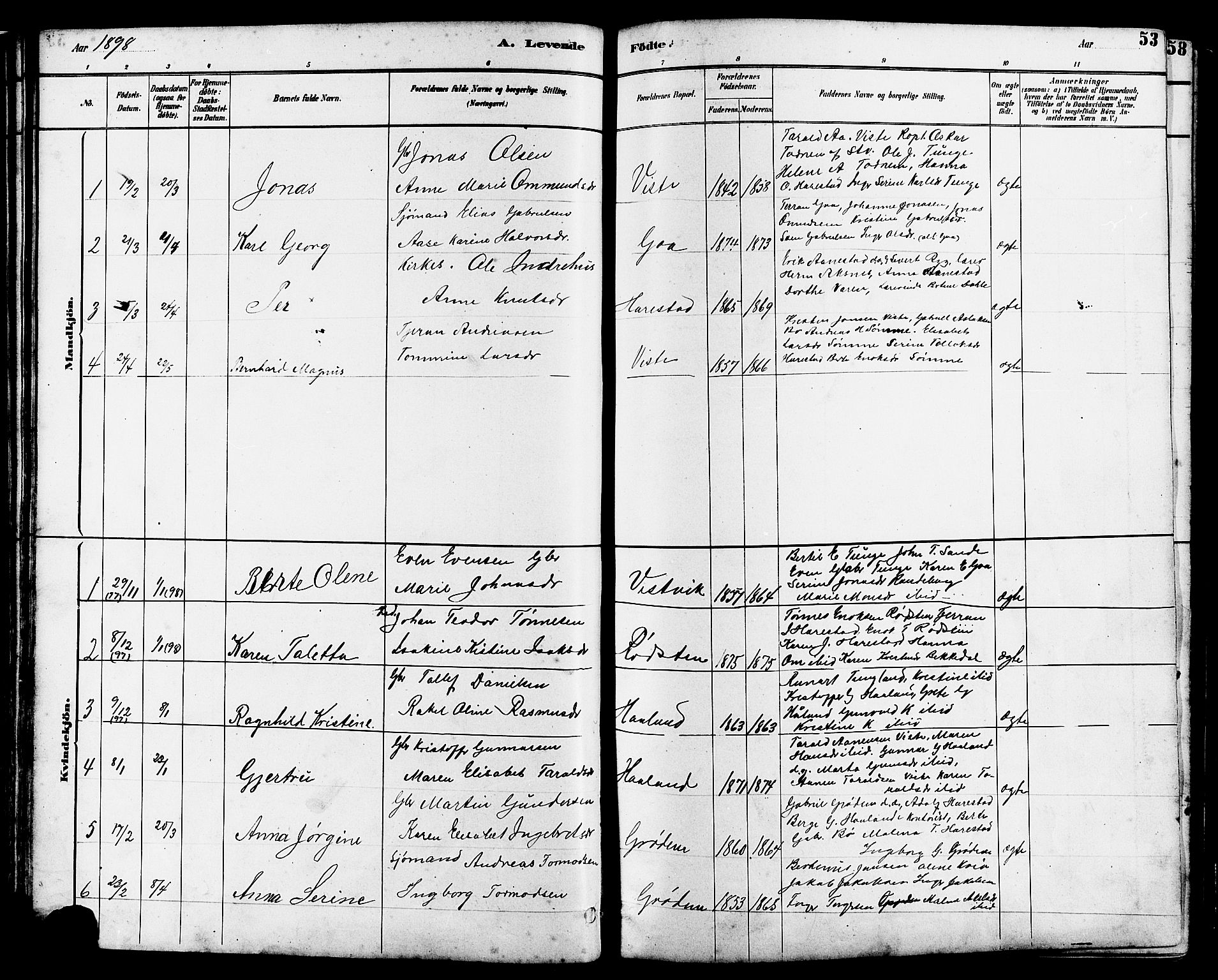 Hetland sokneprestkontor, SAST/A-101826/30/30BB/L0006: Parish register (copy) no. B 6, 1878-1921, p. 53