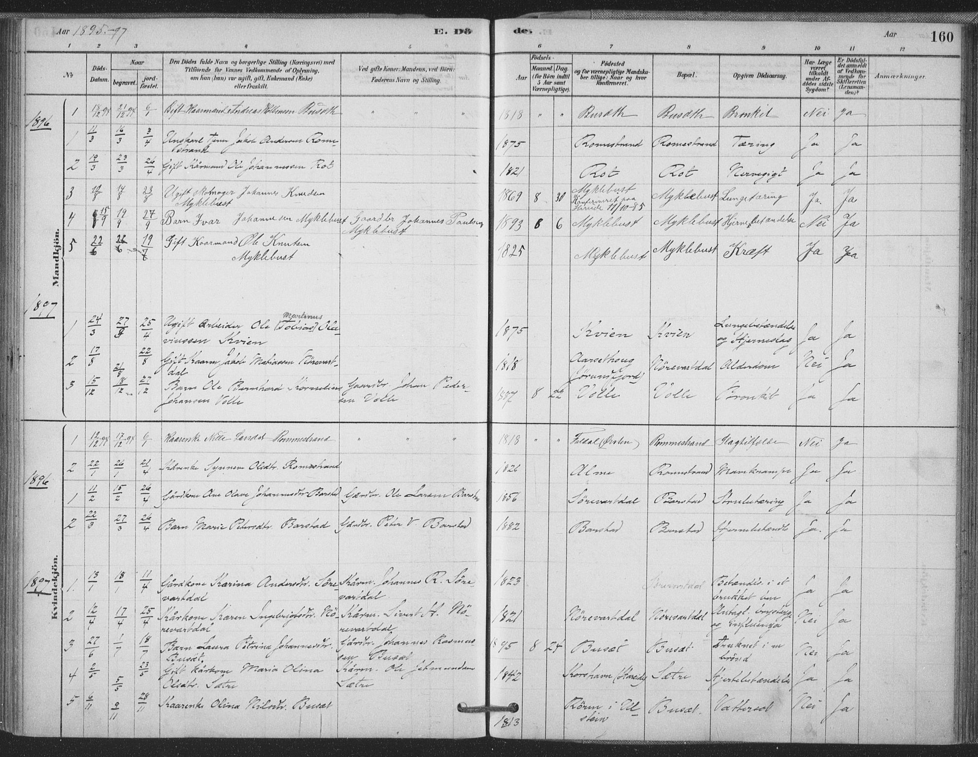 Ministerialprotokoller, klokkerbøker og fødselsregistre - Møre og Romsdal, AV/SAT-A-1454/514/L0199: Parish register (official) no. 514A01, 1878-1912, p. 160