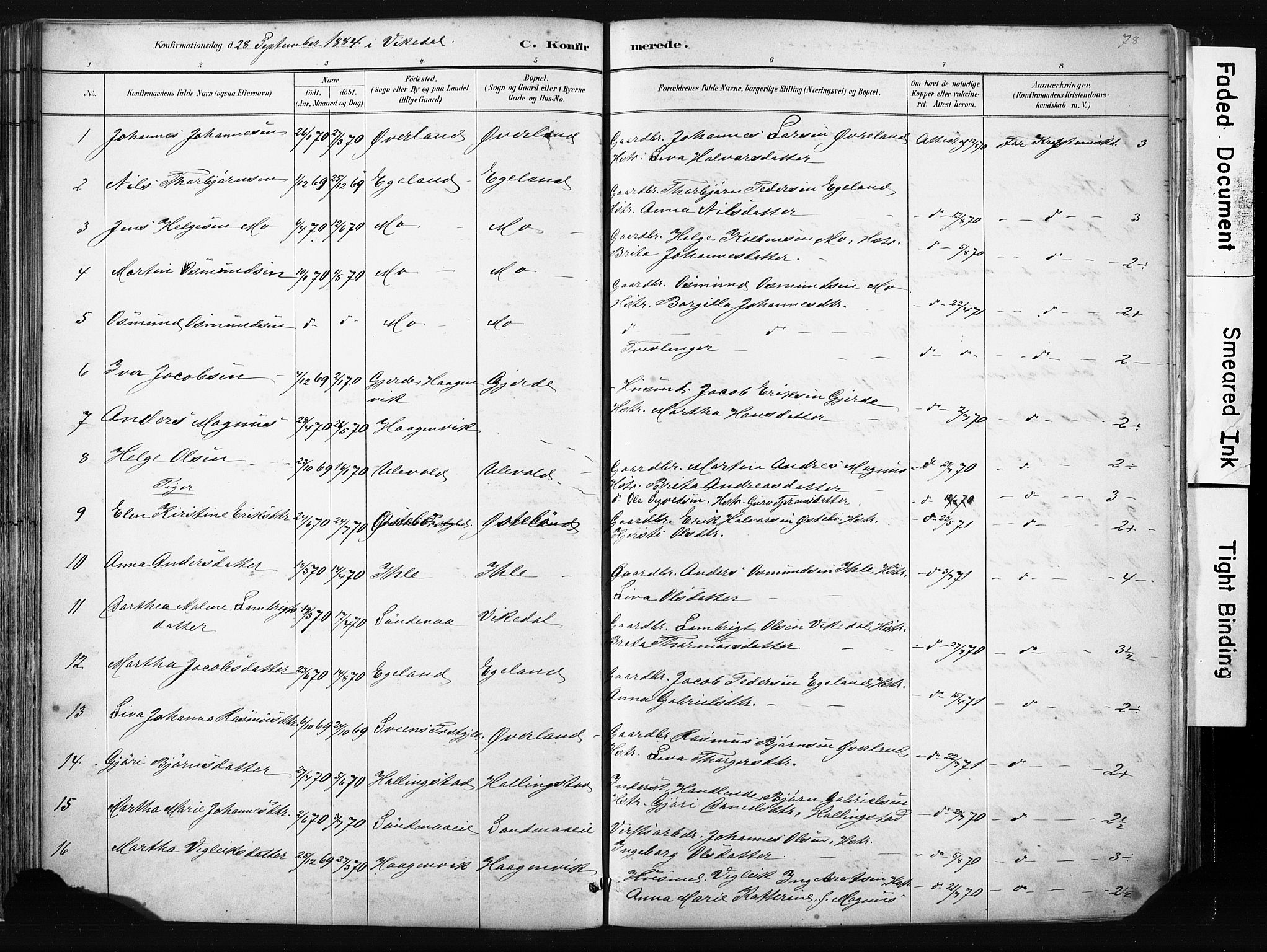 Vikedal sokneprestkontor, SAST/A-101840/01/IV: Parish register (official) no. A 10, 1884-1907, p. 78