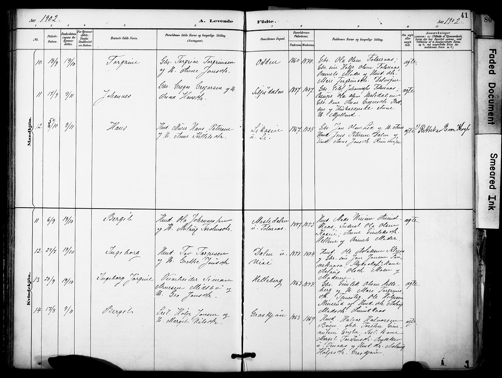 Gransherad kirkebøker, SAKO/A-267/F/Fa/L0005: Parish register (official) no. I 5, 1887-1916, p. 41