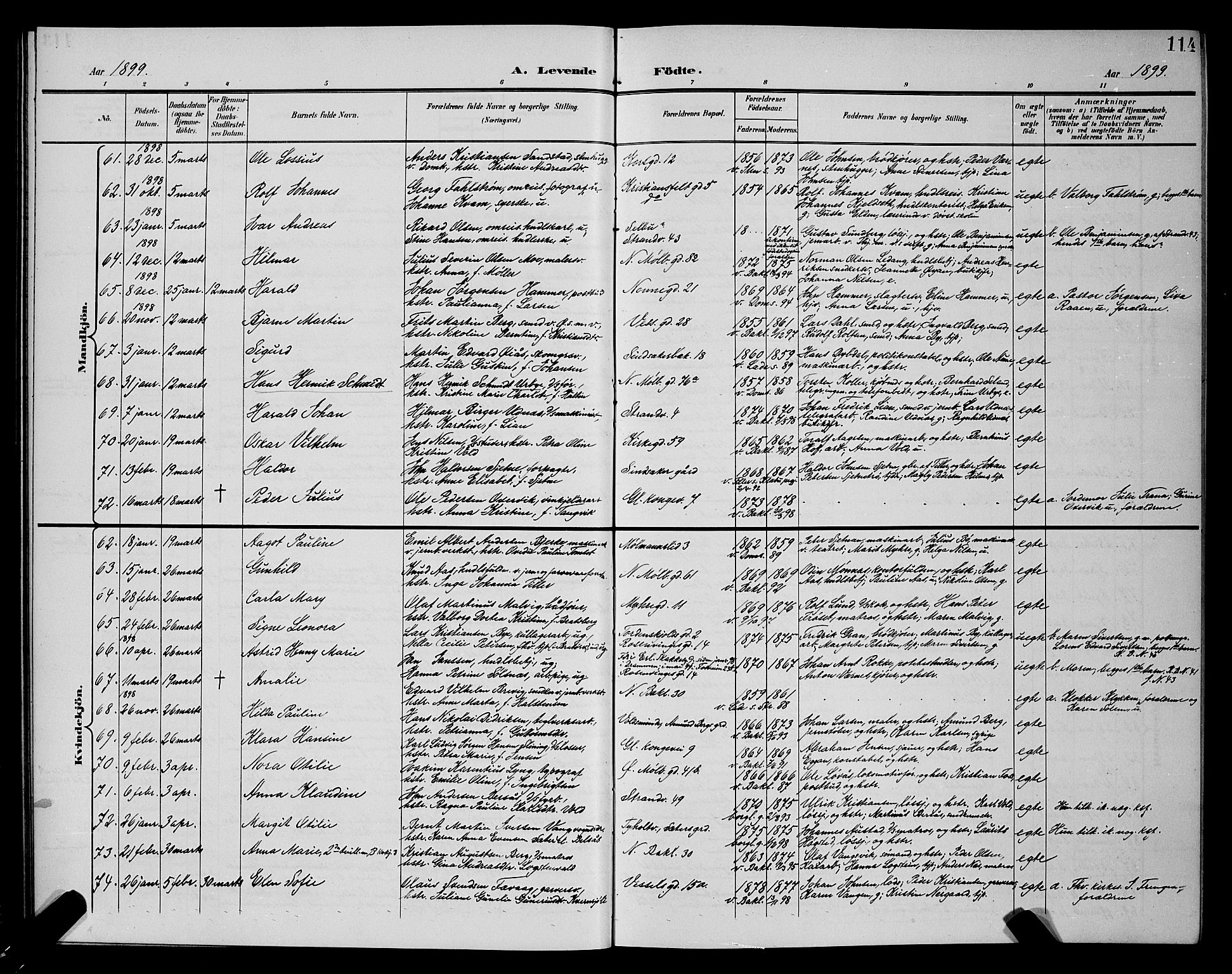 Ministerialprotokoller, klokkerbøker og fødselsregistre - Sør-Trøndelag, AV/SAT-A-1456/604/L0225: Parish register (copy) no. 604C08, 1895-1899, p. 114