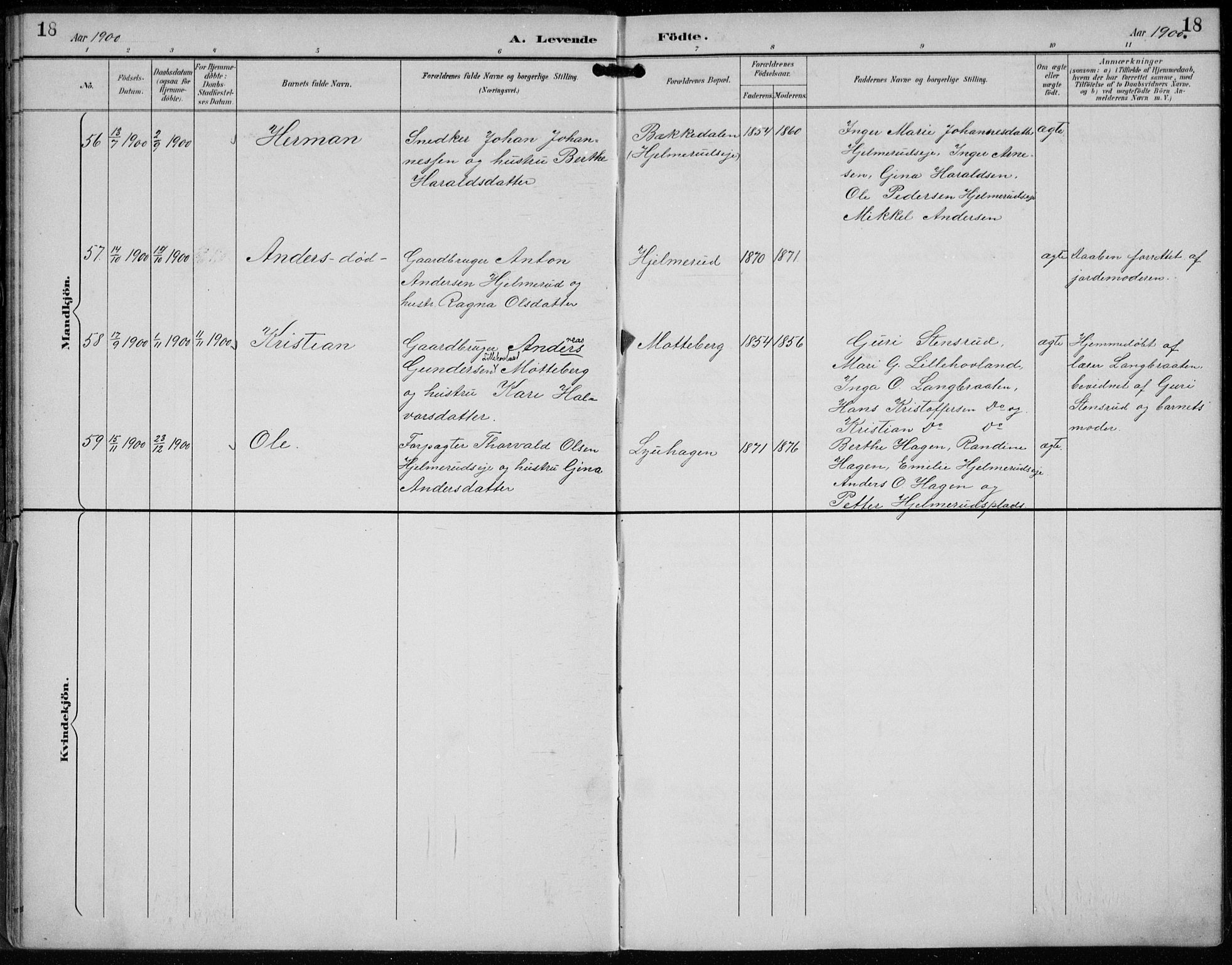 Lunder kirkebøker, AV/SAKO-A-629/F/Fb/L0001: Parish register (official) no. II 1, 1893-1916, p. 18