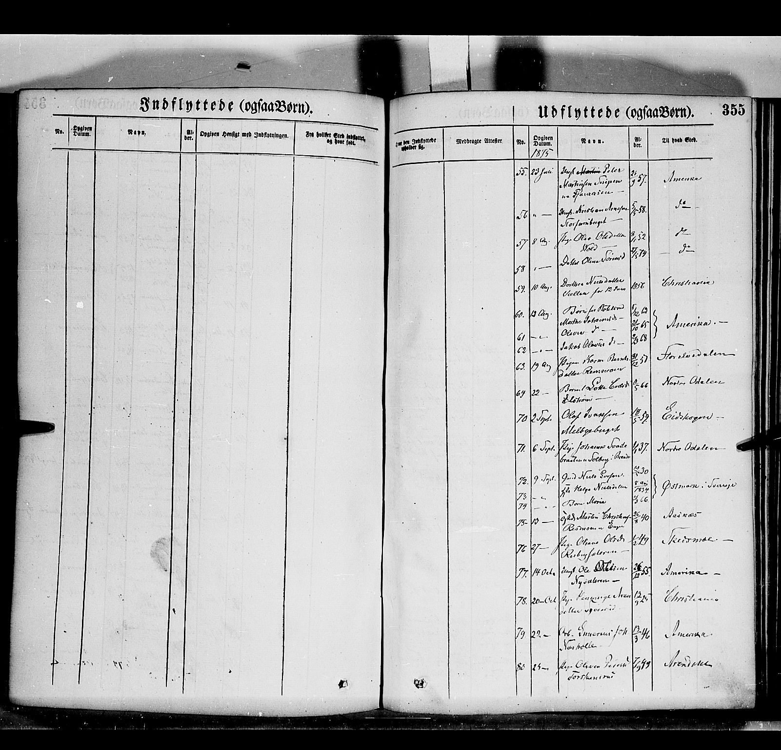 Grue prestekontor, AV/SAH-PREST-036/H/Ha/Haa/L0011: Parish register (official) no. 11, 1873-1880, p. 355