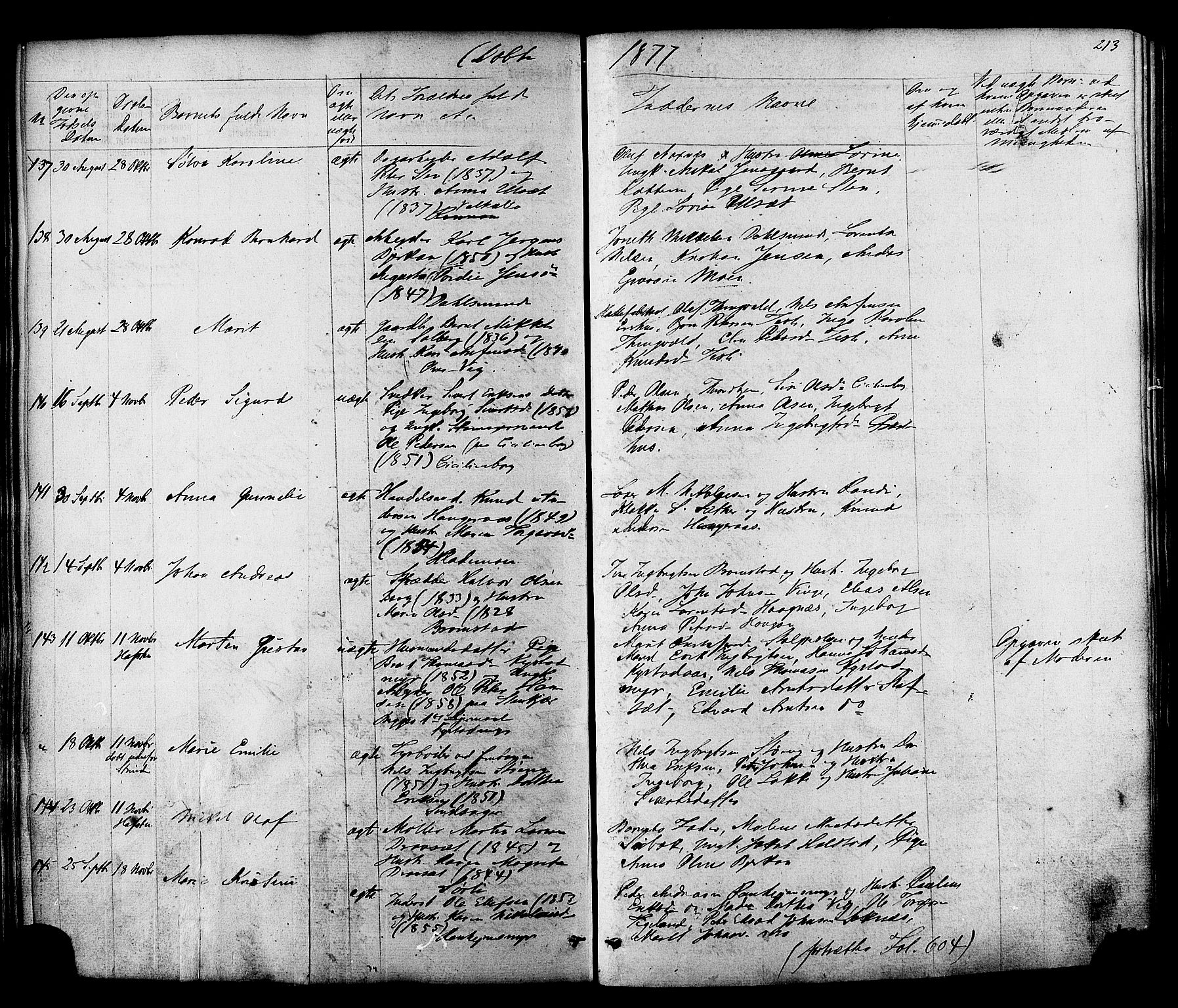 Ministerialprotokoller, klokkerbøker og fødselsregistre - Sør-Trøndelag, SAT/A-1456/606/L0293: Parish register (official) no. 606A08, 1866-1877, p. 213