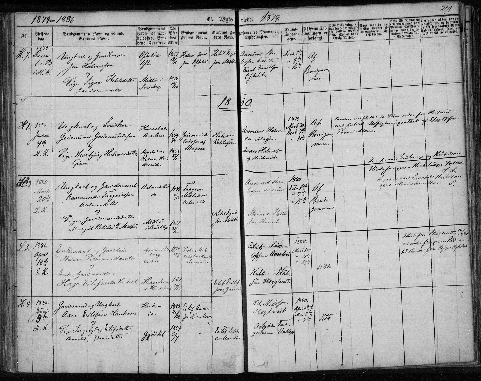 Lårdal kirkebøker, SAKO/A-284/F/Fa/L0006: Parish register (official) no. I 6, 1861-1886, p. 271