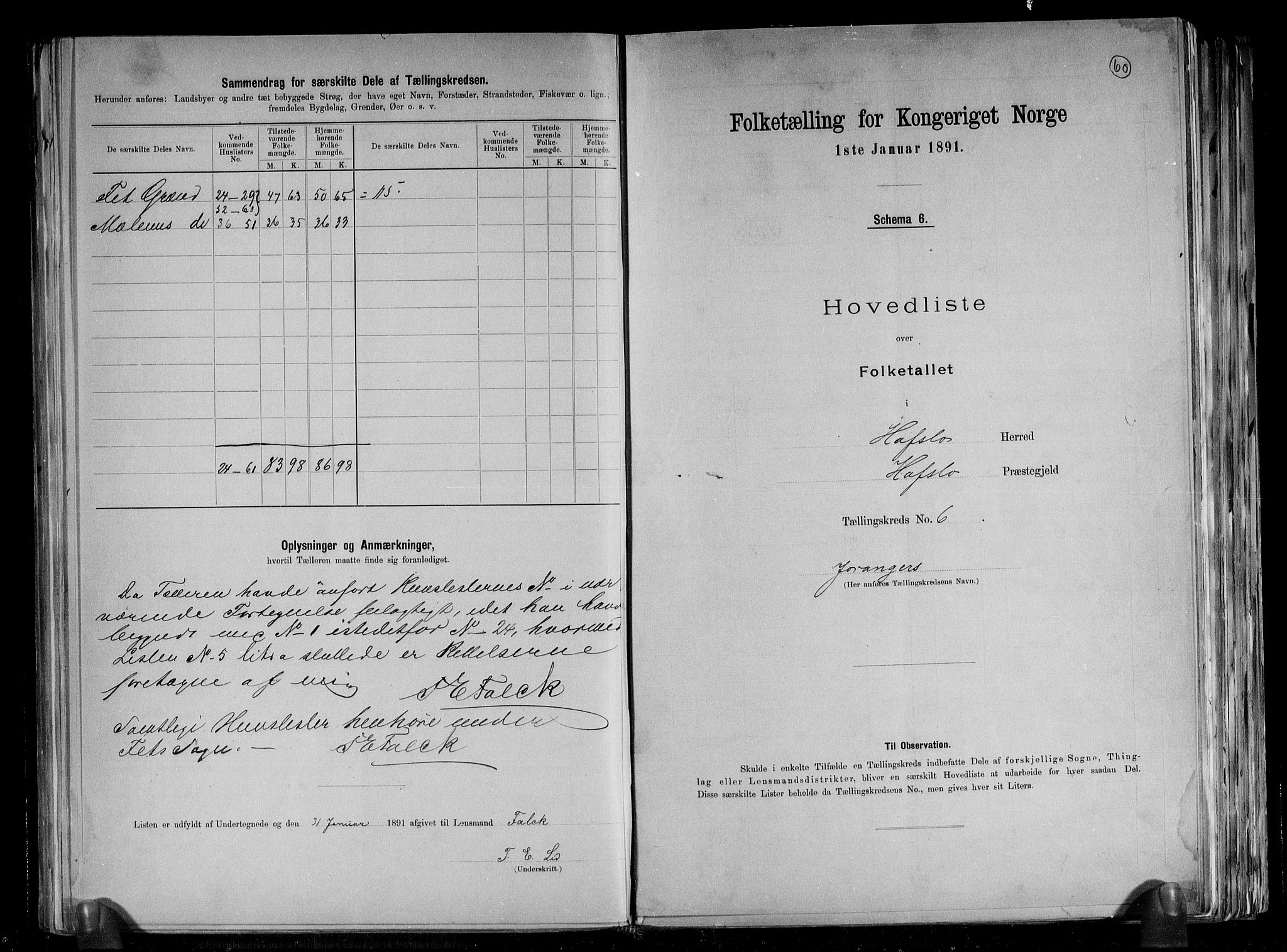 RA, 1891 census for 1425 Hafslo, 1891, p. 22