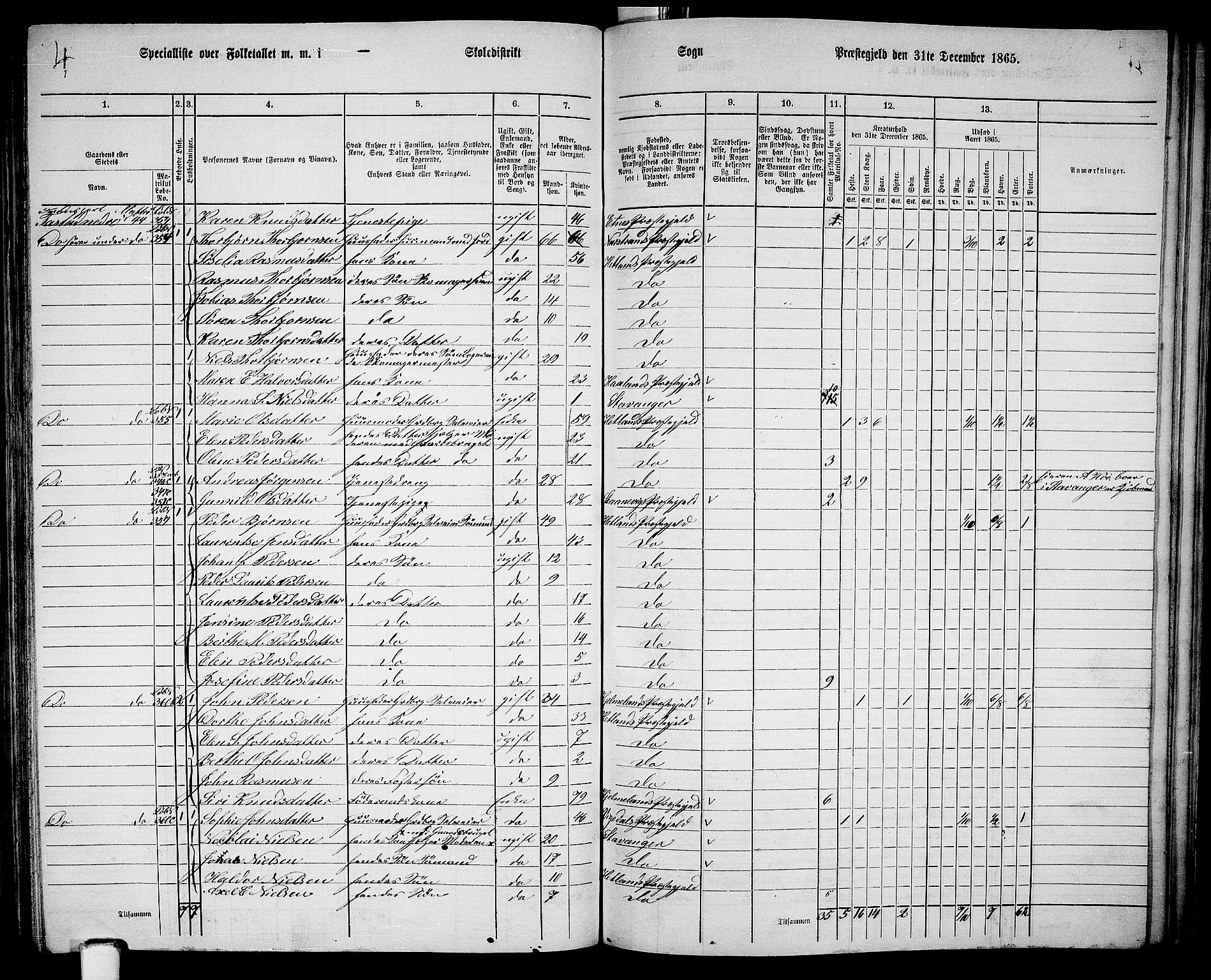 RA, 1865 census for Hetland, 1865, p. 170