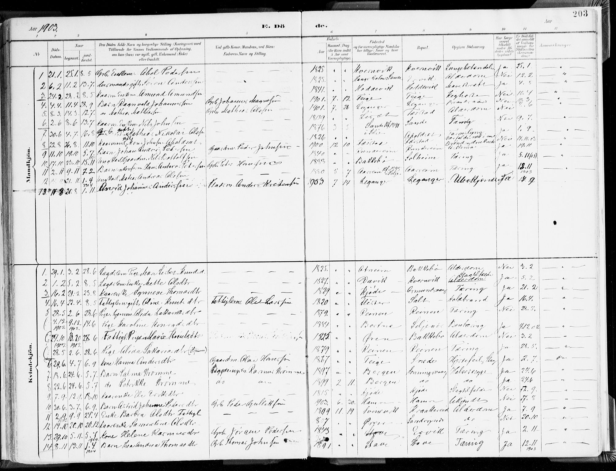 Selje sokneprestembete, SAB/A-99938/H/Ha/Haa/Haab: Parish register (official) no. B 2, 1891-1907, p. 203