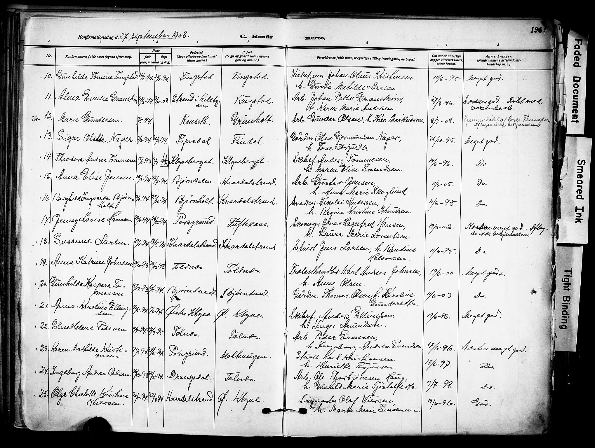 Solum kirkebøker, AV/SAKO-A-306/F/Fa/L0011: Parish register (official) no. I 11, 1898-1909, p. 196