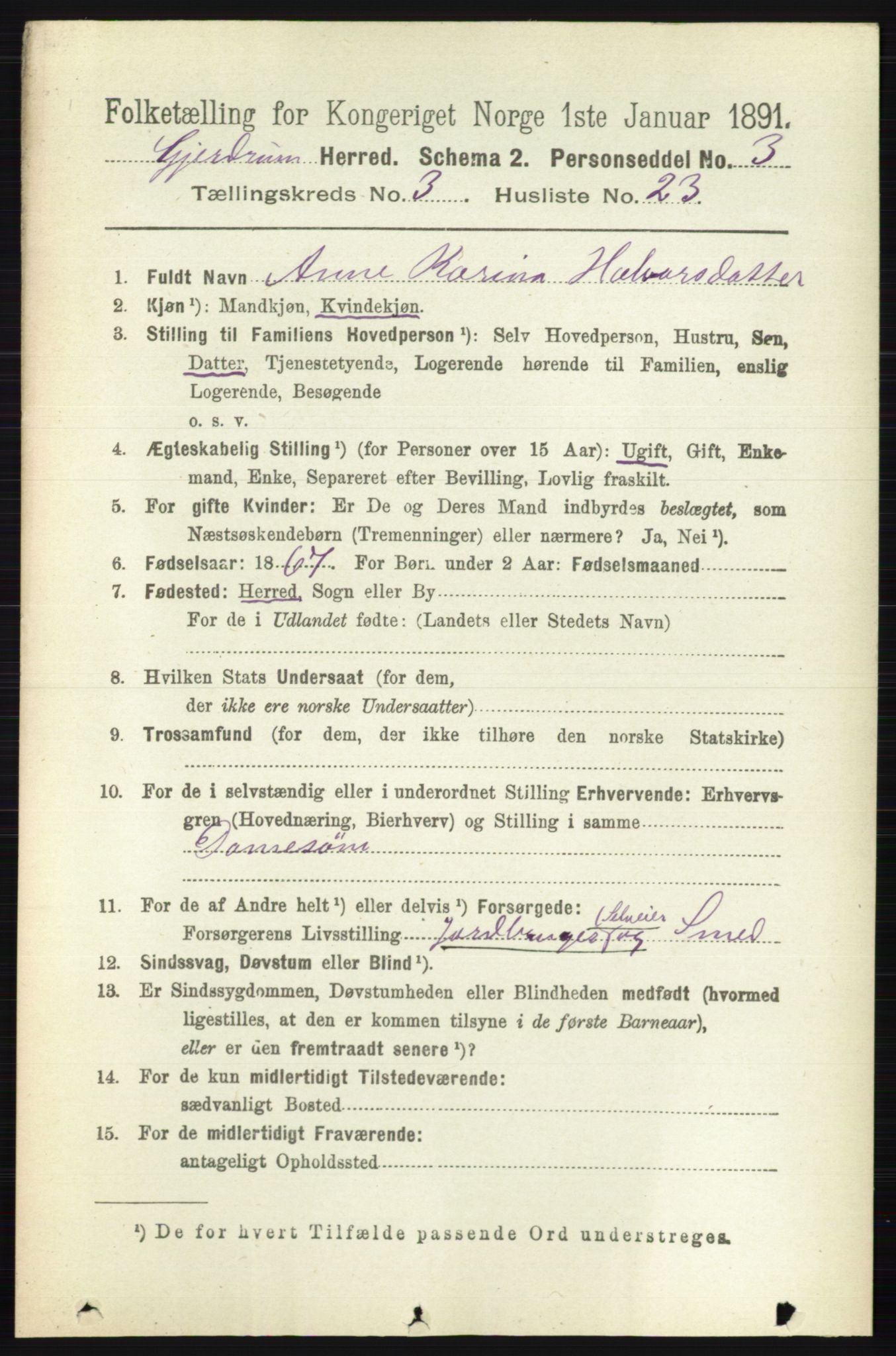 RA, 1891 census for 0234 Gjerdrum, 1891, p. 1382