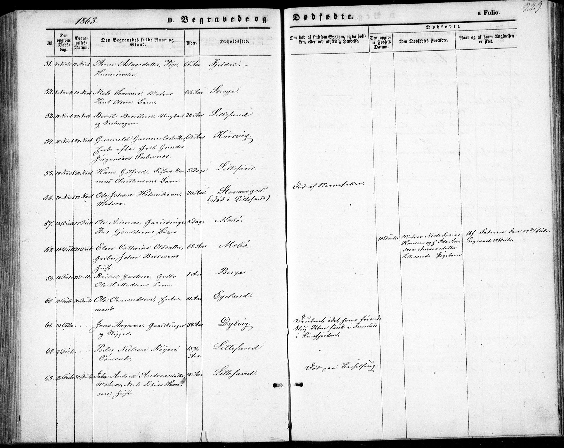 Vestre Moland sokneprestkontor, AV/SAK-1111-0046/F/Fb/Fbb/L0004: Parish register (copy) no. B 4, 1861-1872, p. 229