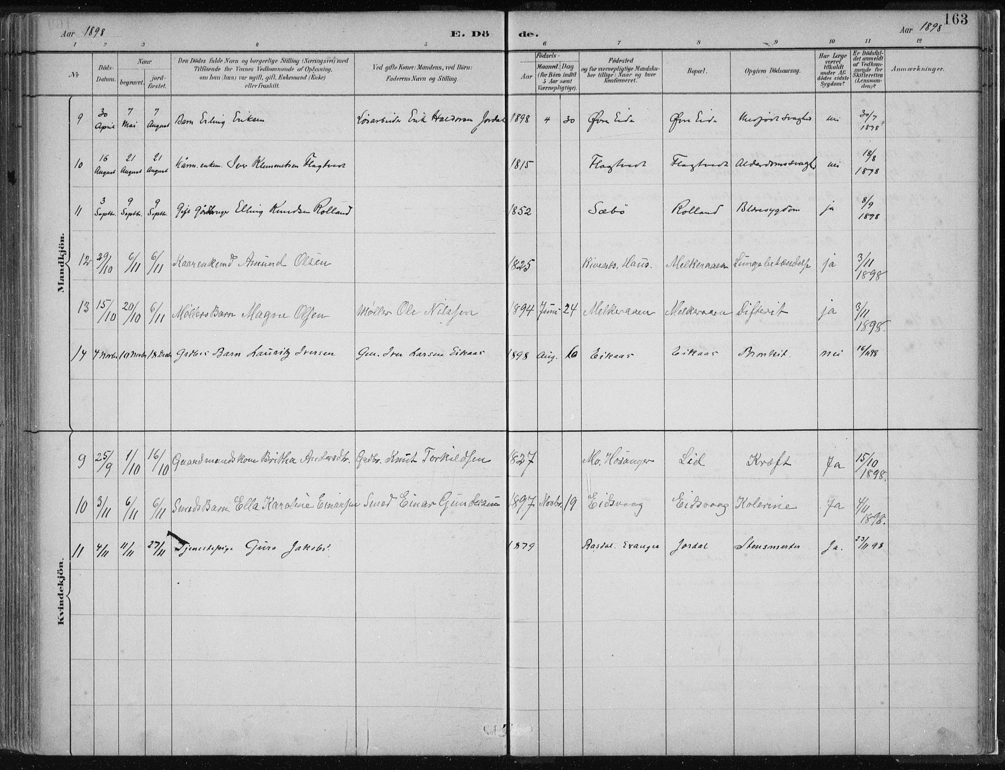 Hamre sokneprestembete, AV/SAB-A-75501/H/Ha/Haa/Haad/L0001: Parish register (official) no. D  1, 1882-1906, p. 163