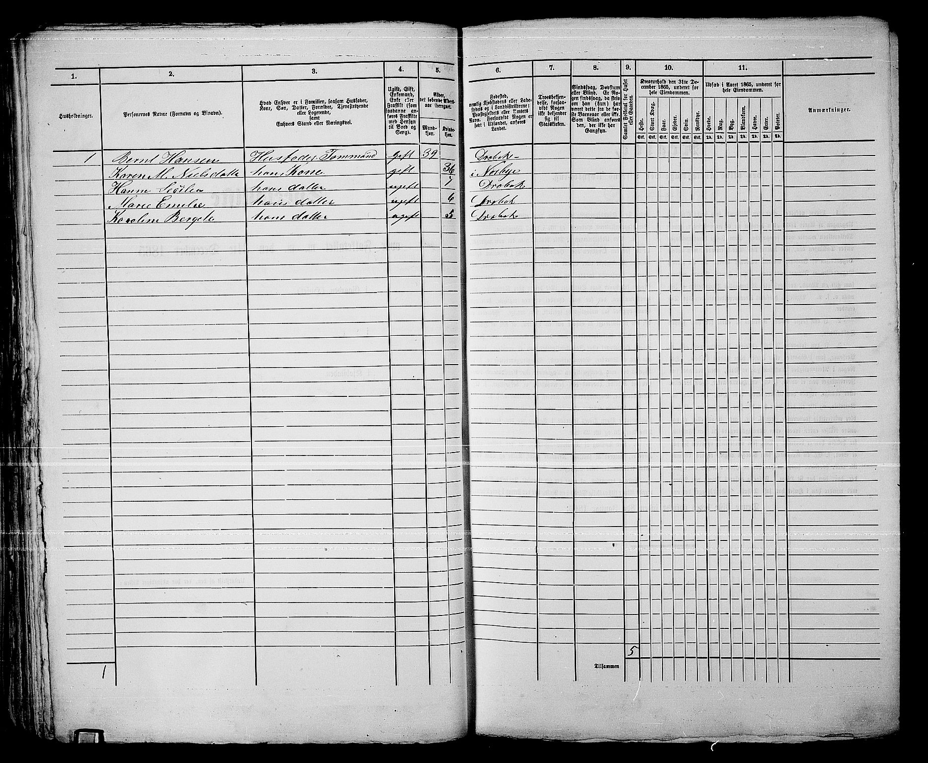 RA, 1865 census for Drøbak/Drøbak, 1865, p. 87